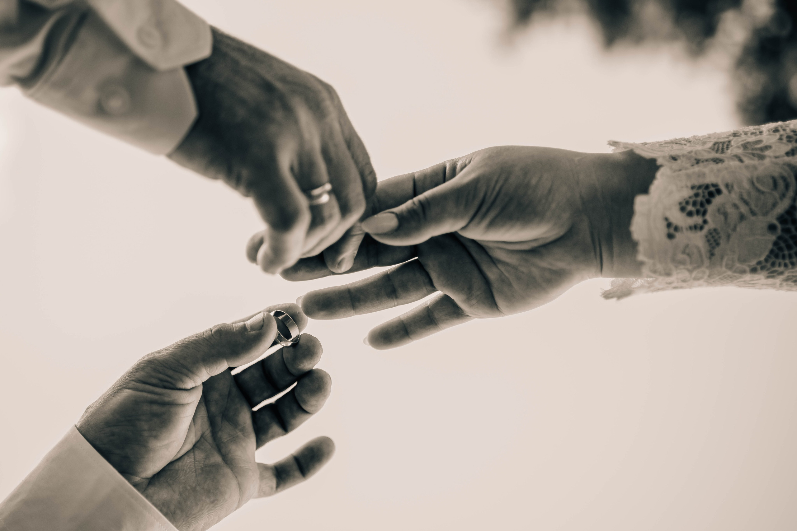 Вероника & Михаил. Фотограф Валерия Кононова