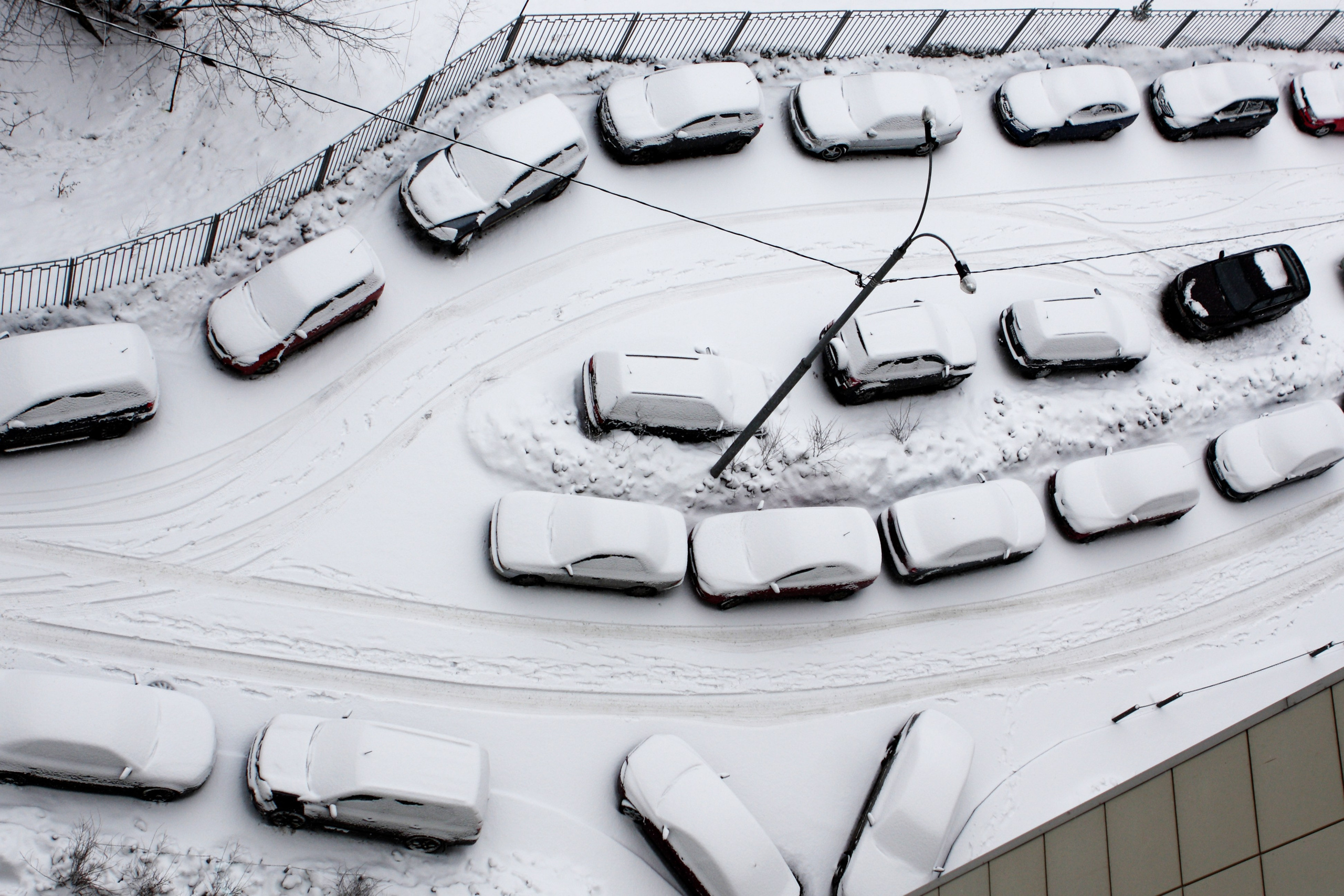 Жанр. Фотограф Лагутин Анатолий