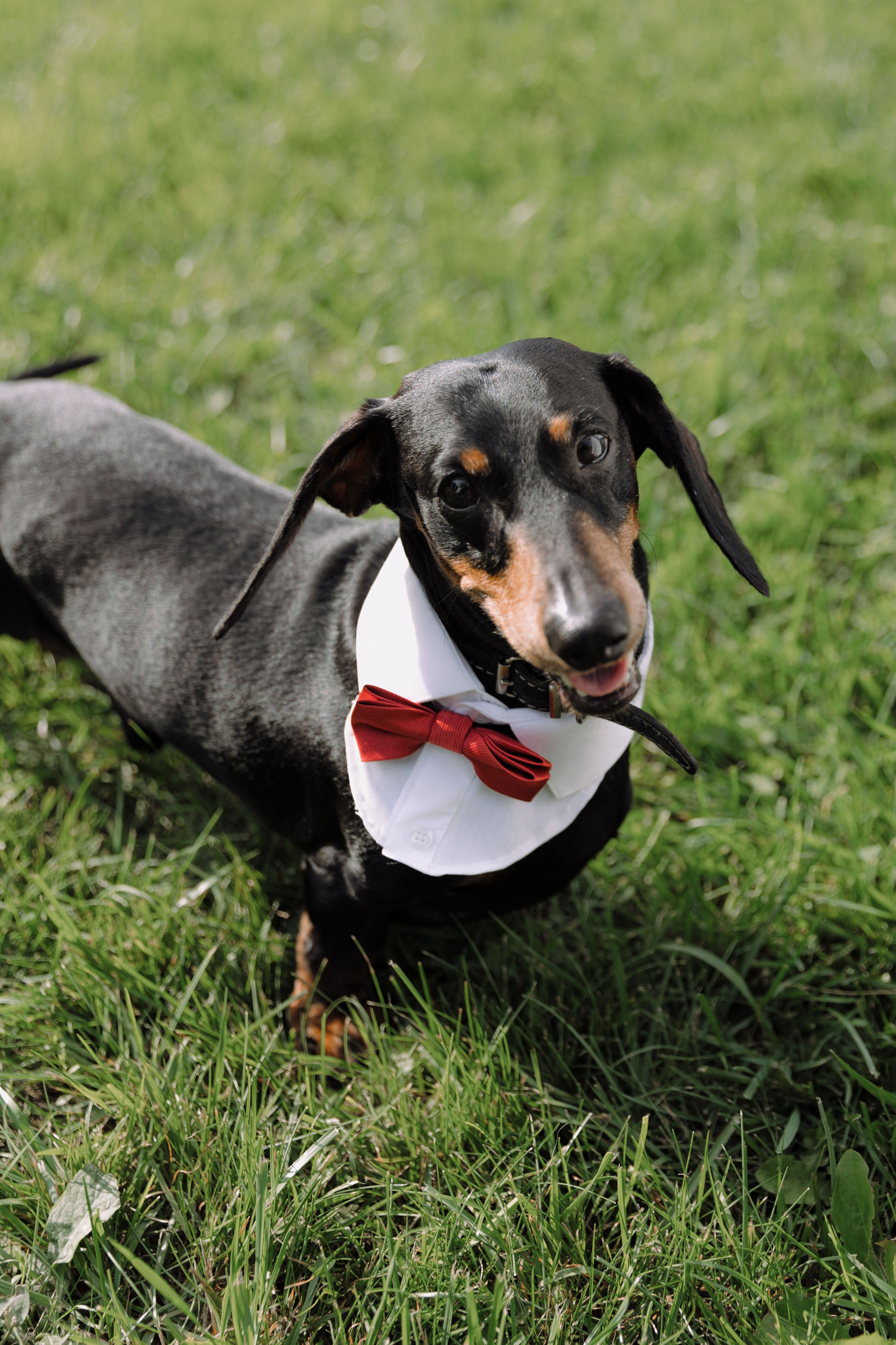 Artem & Anastasia. Главная