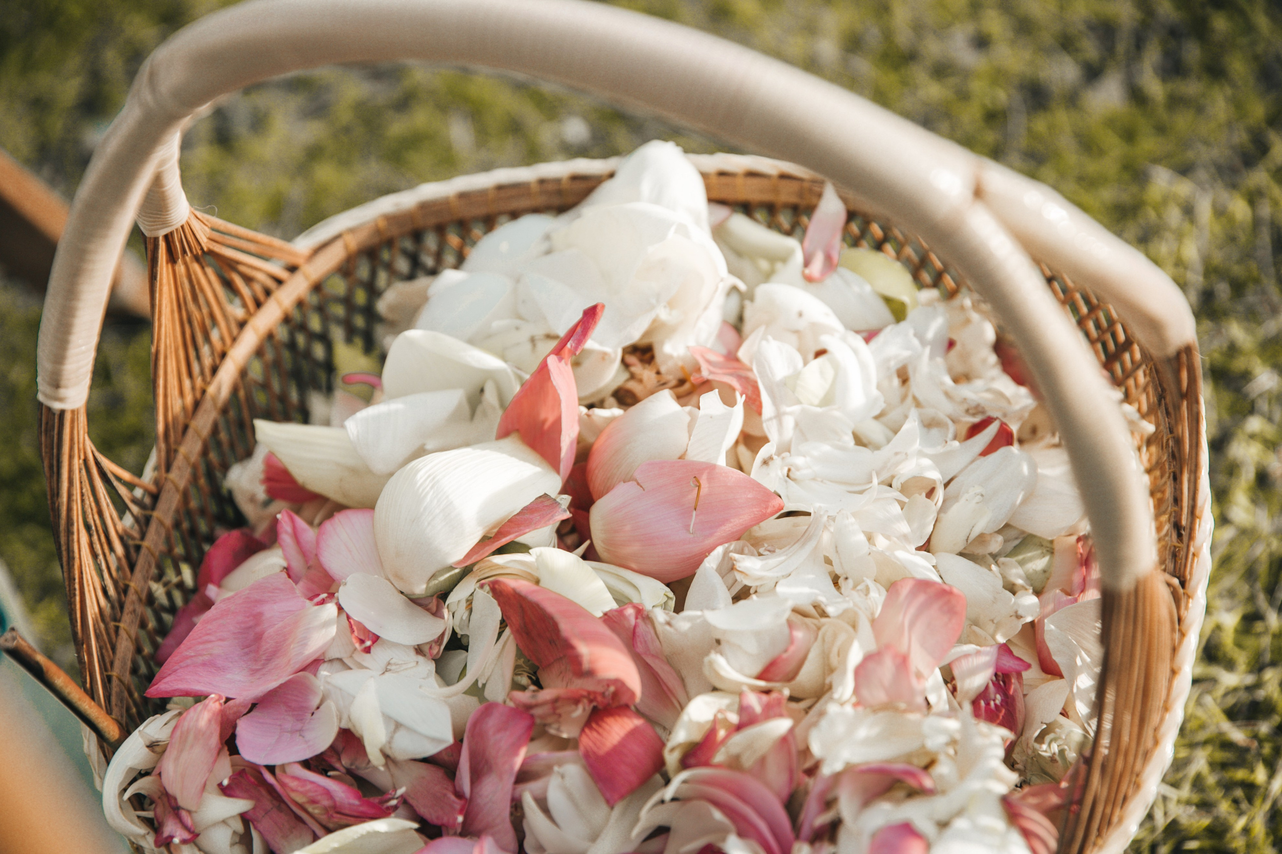 Дмитрий и Елизавета, Пхукет. Фотограф и видеограф Анна Домашенко