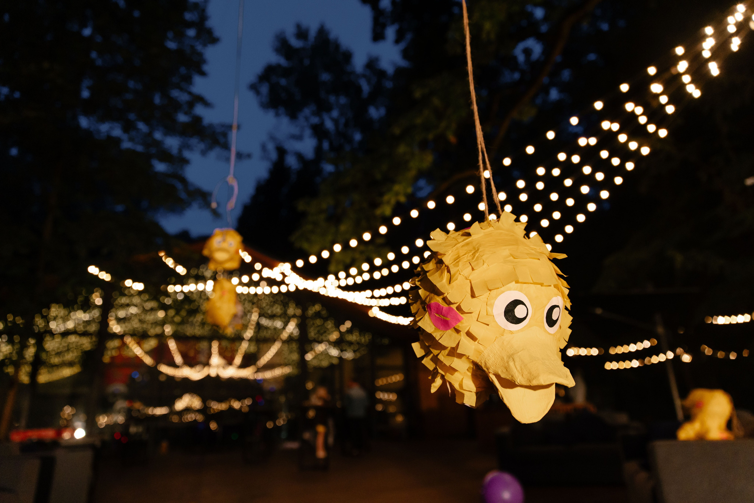 SVЕТлые люди. Анастасия Мелёхина Фотограф Москва, Свадебный фотограф Москва