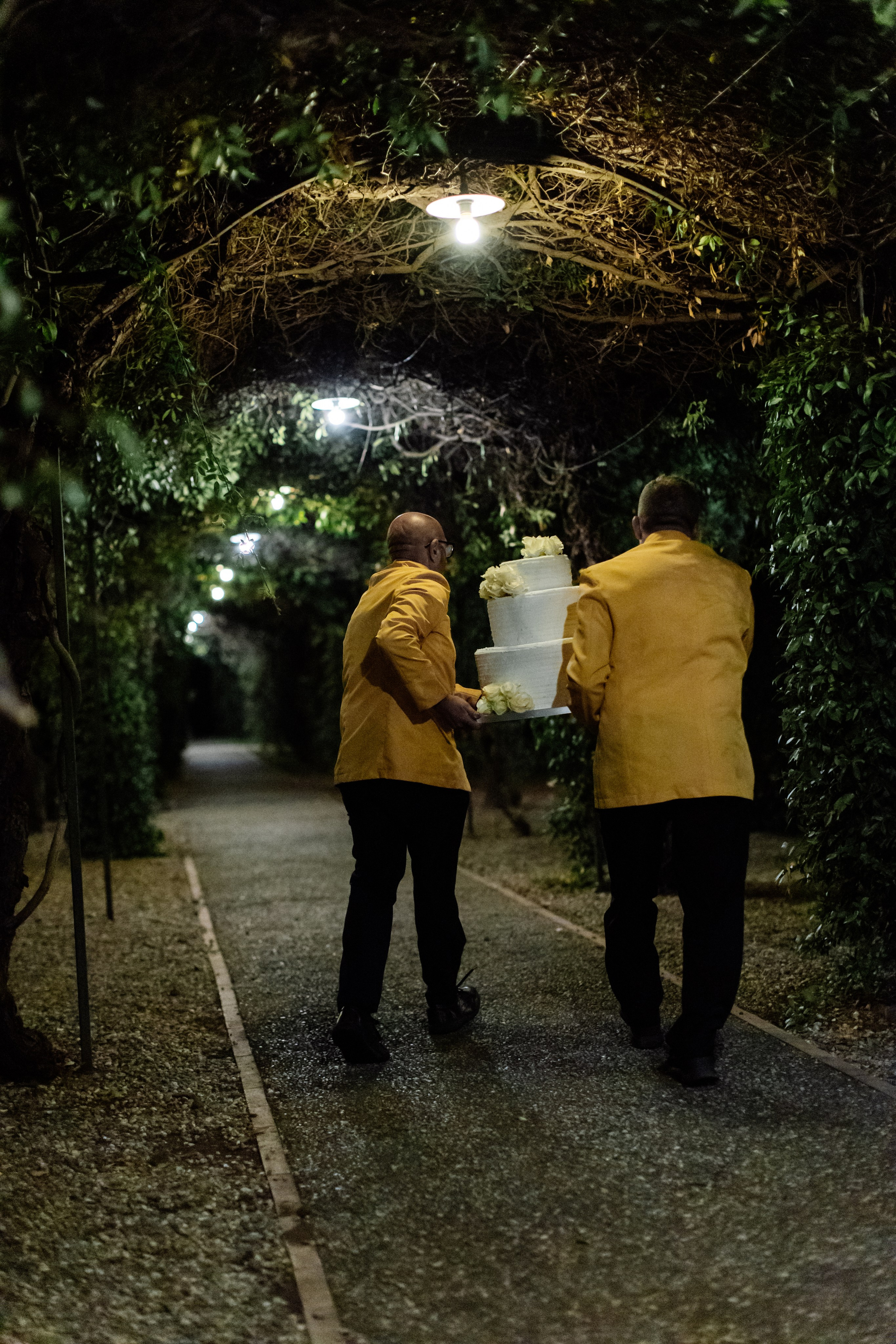 SERIES. Wedding photographer in Europe