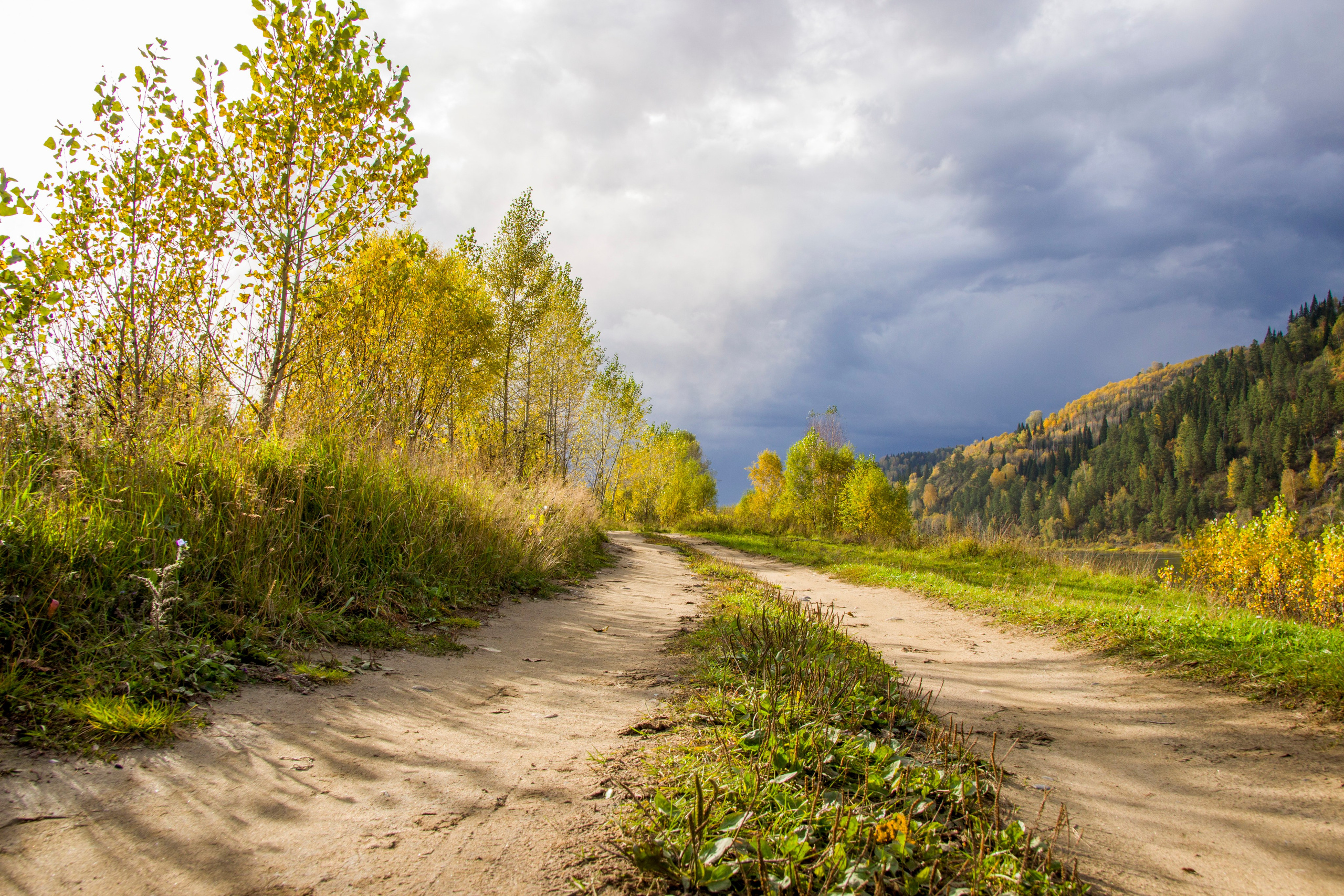 Творческая студия АЛНИфото