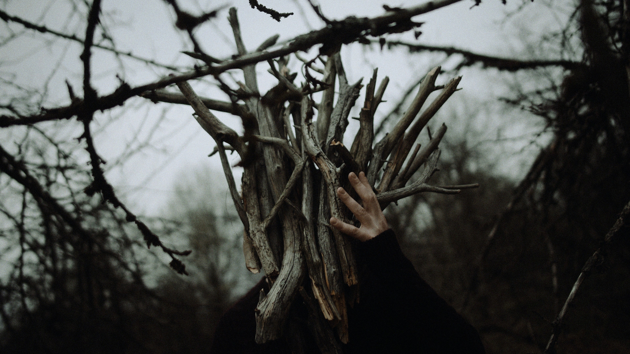 «InSide Media» videomaker Vadim Ermakov