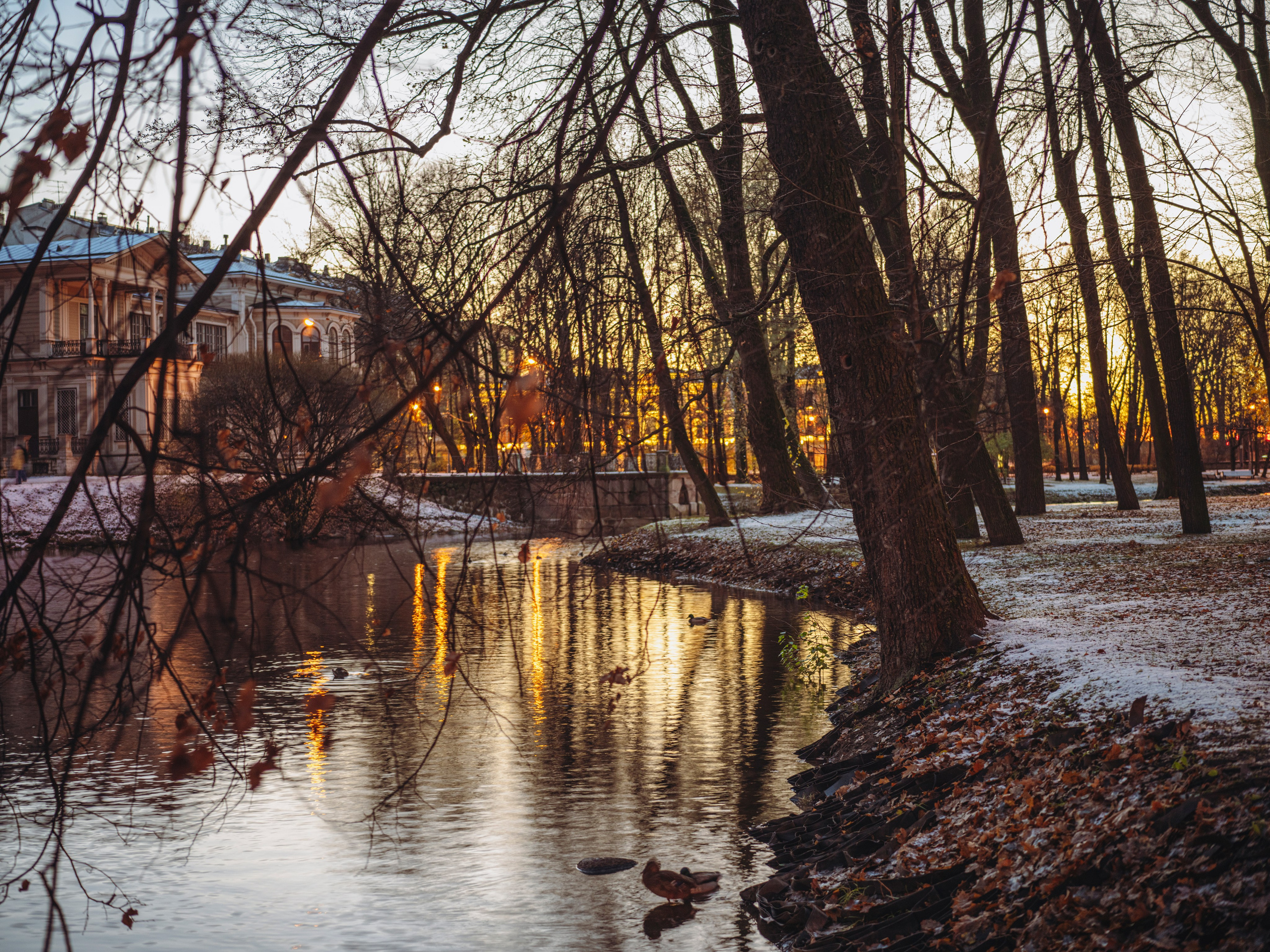 Природа и животные. Творческий фотограф Ирина Баландина.  Санкт-Петербург, Мурманск