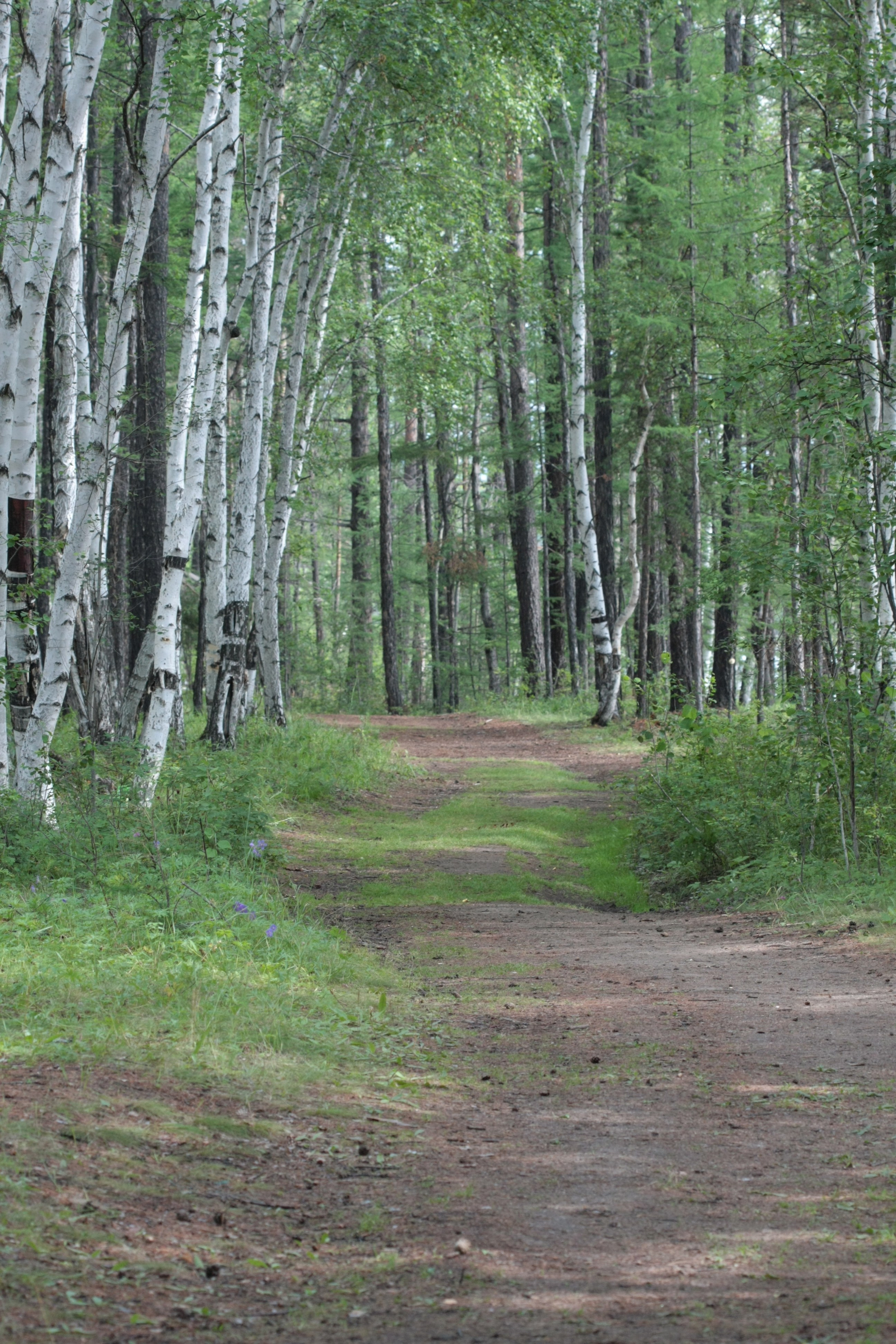Фото Природы Забайкалья. Студия Максима Белослюдцева