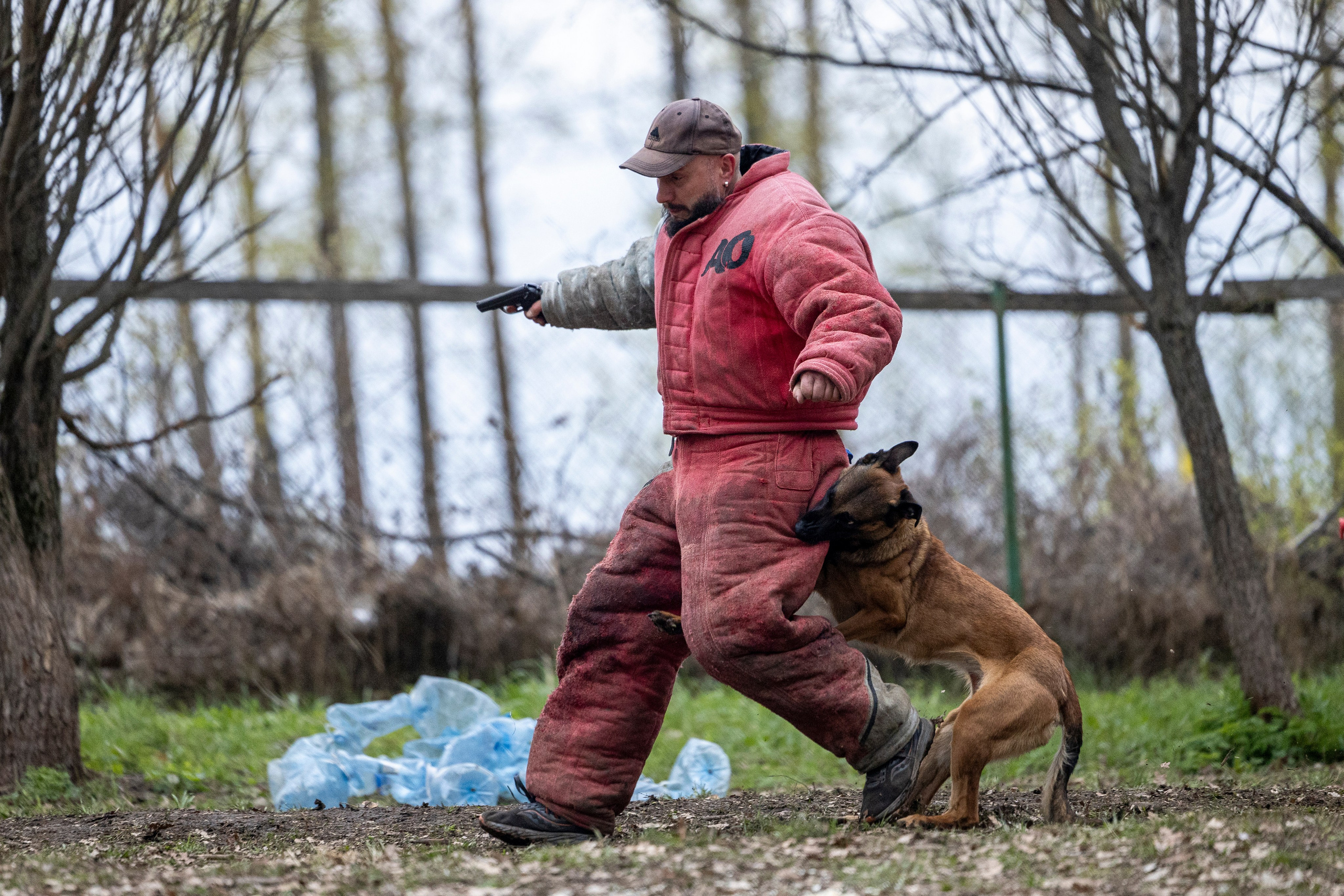 Квалификационные состязания по мондьорингу г. Вологда 11.05.24. Фотограф-анималист Анна Маринич