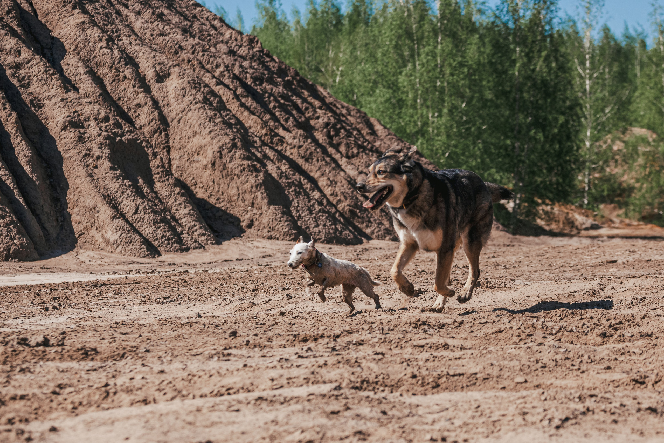 Кондуки. Фотограф-анималист Татьяна Степанова