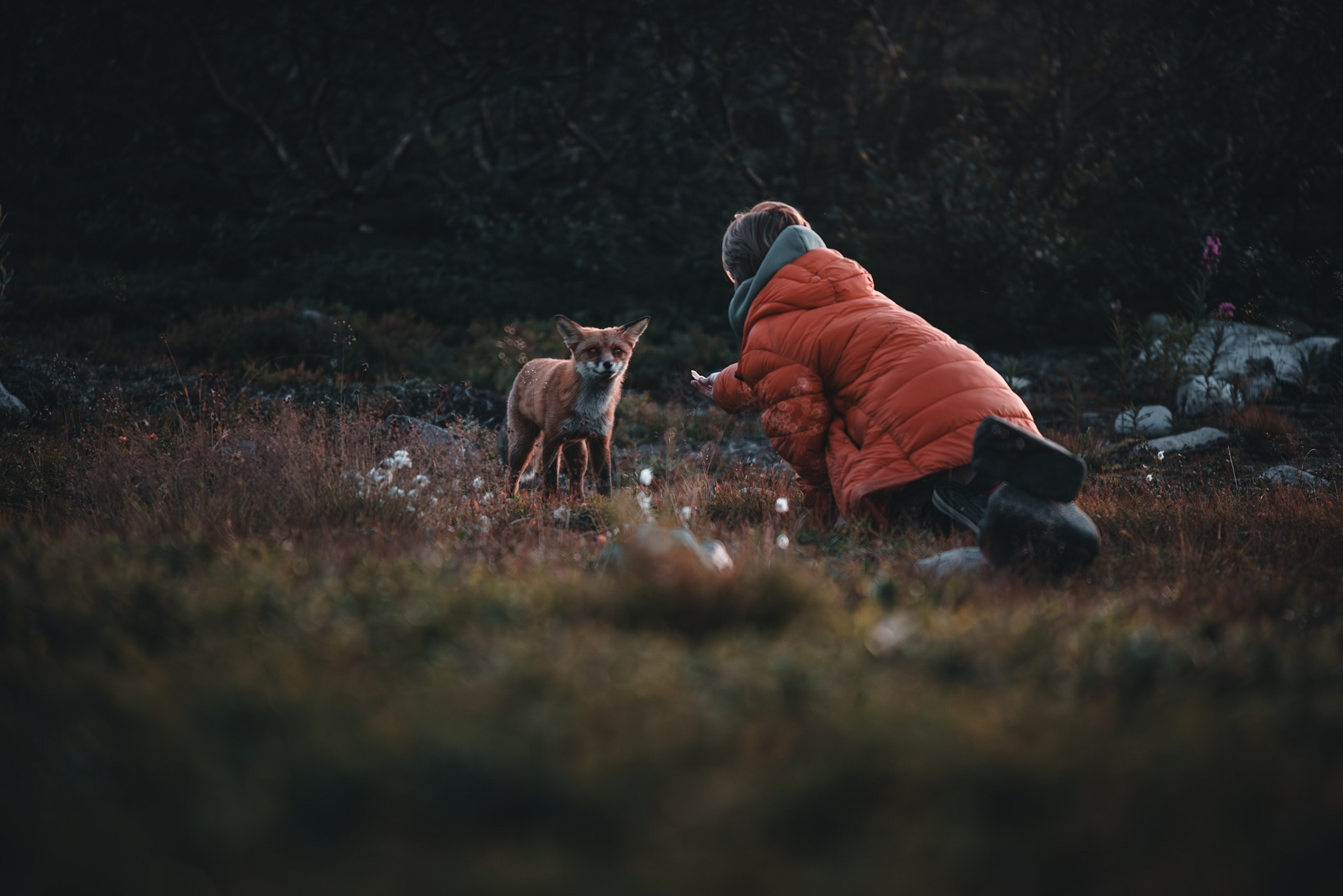 Север 2025. Внедорожные путешествия — OFFROADTRIP