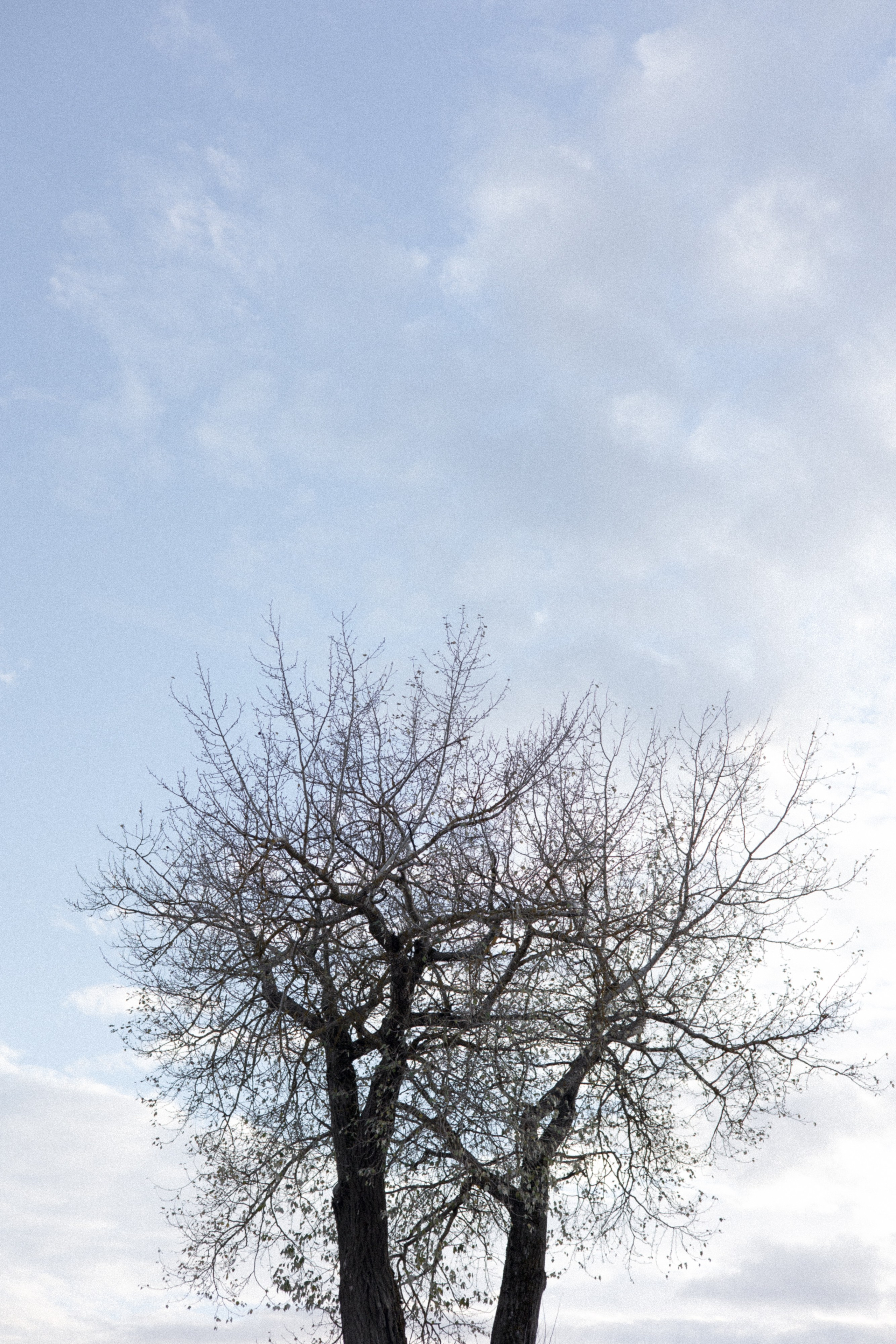 Мой дом и кто в нем живет. Свадебный фотограф Колесников Антон