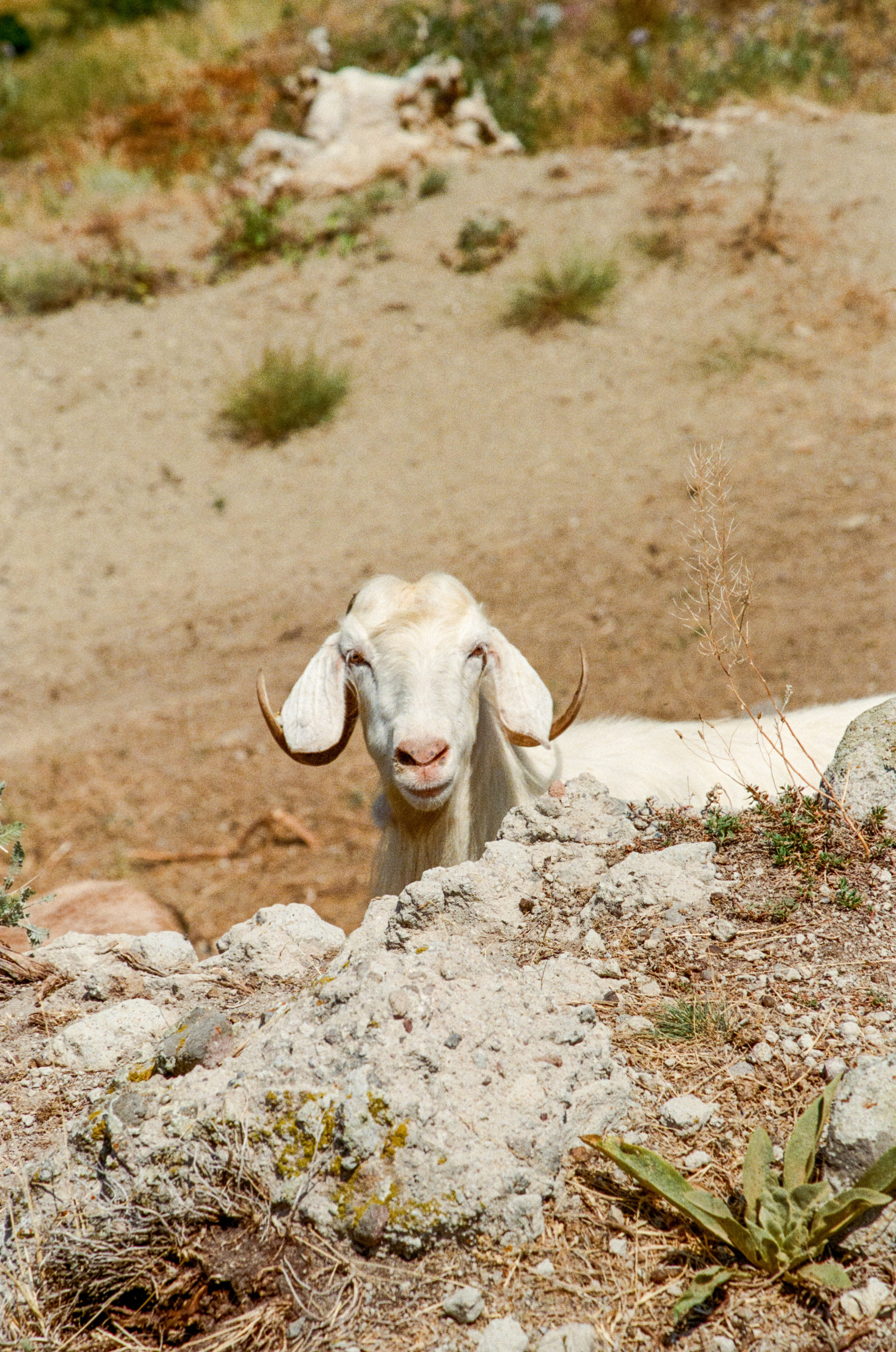 АРМЕНИЯ.24. Профессиональный фотограф Федотова Арина