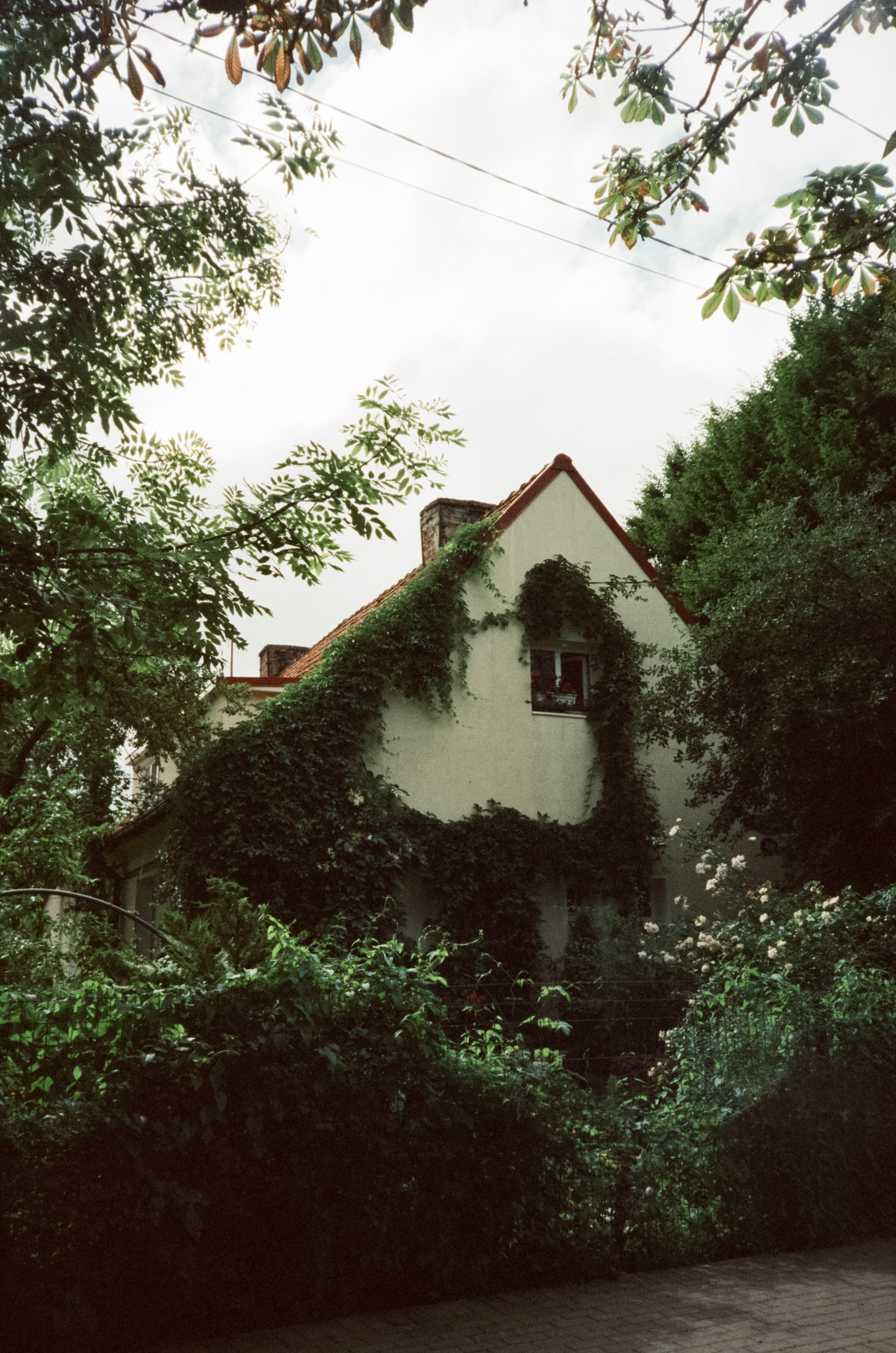 Прогулка по улочкам и дворикам Зеленорадска. Фотограф-документалист Мария Осокина