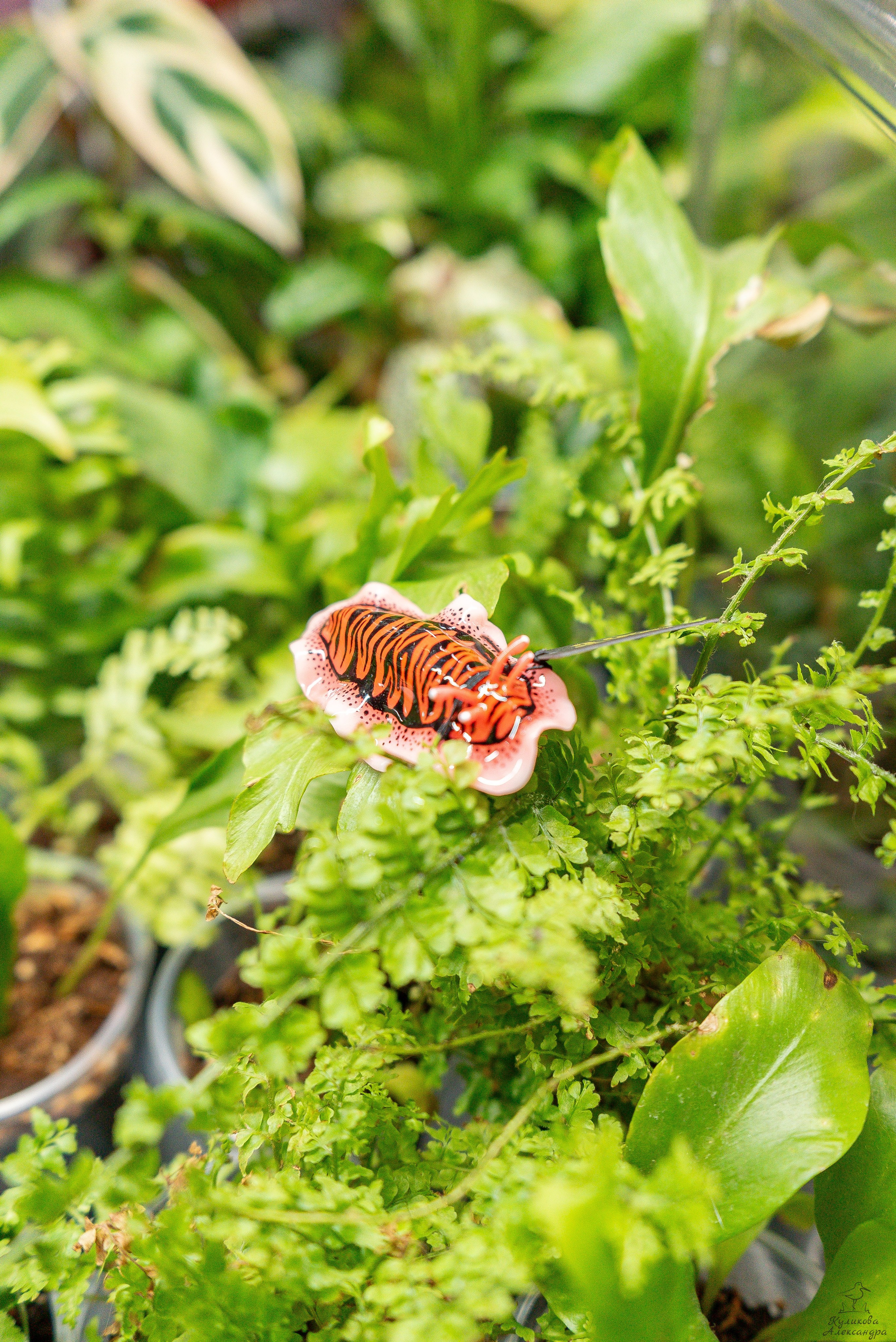Гроубокс Артплей апрель. Александра Куликова фотограф, Москва