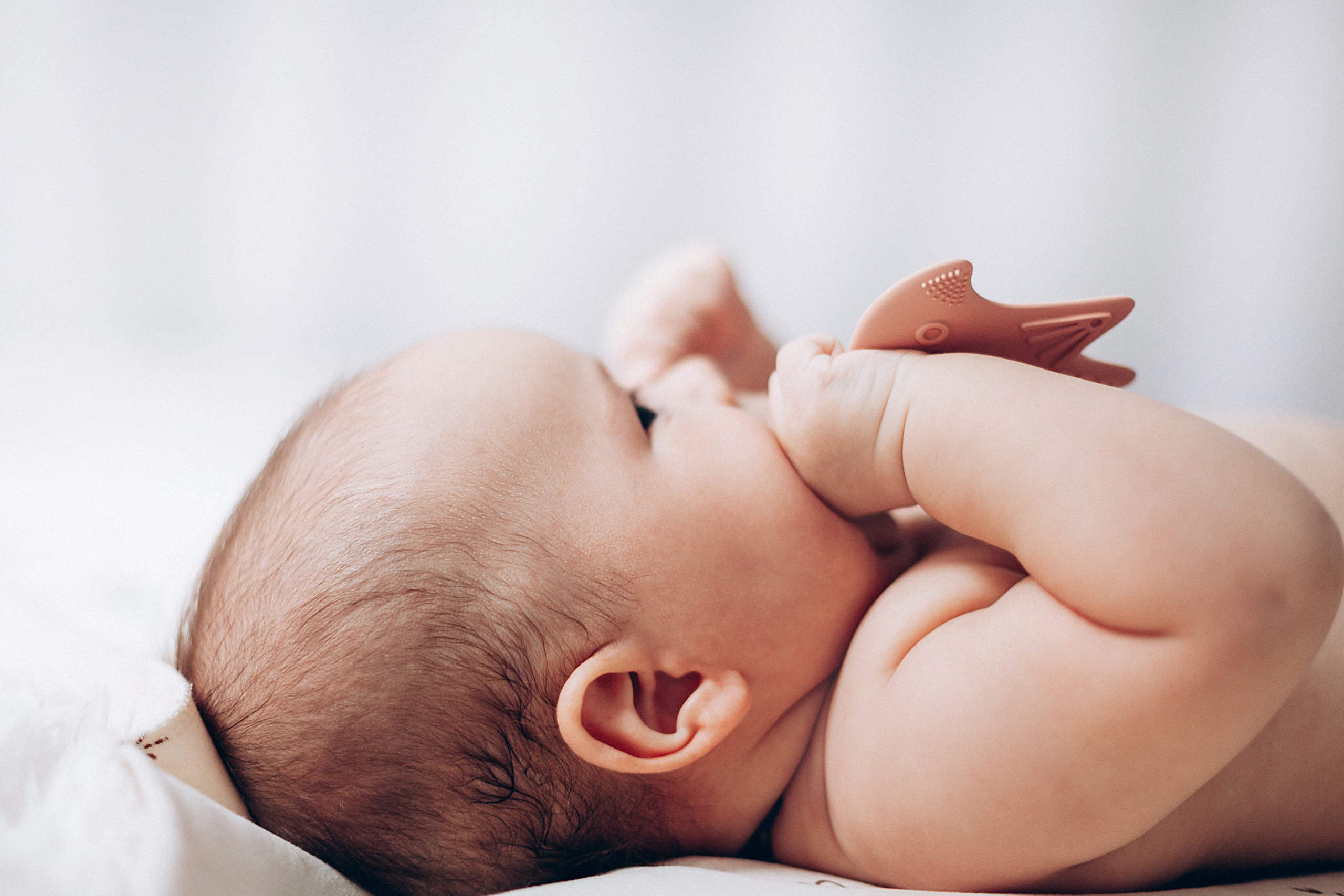 Степа. Репортажный и детский фотограф в Минске