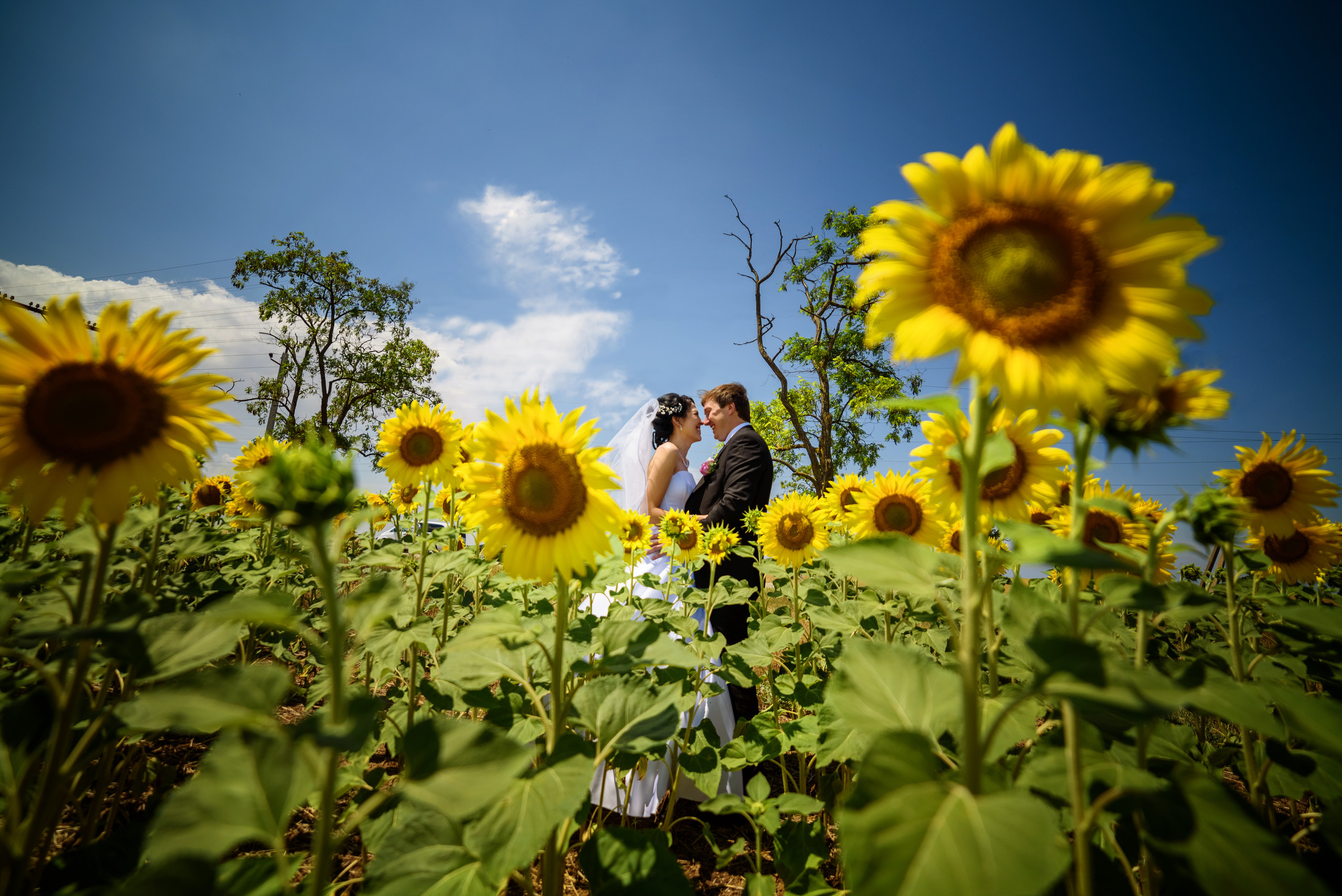 Свадебная фотосессия в Крыму. Портретный и свадебный фотограф в Крыму Аввакумов Максим