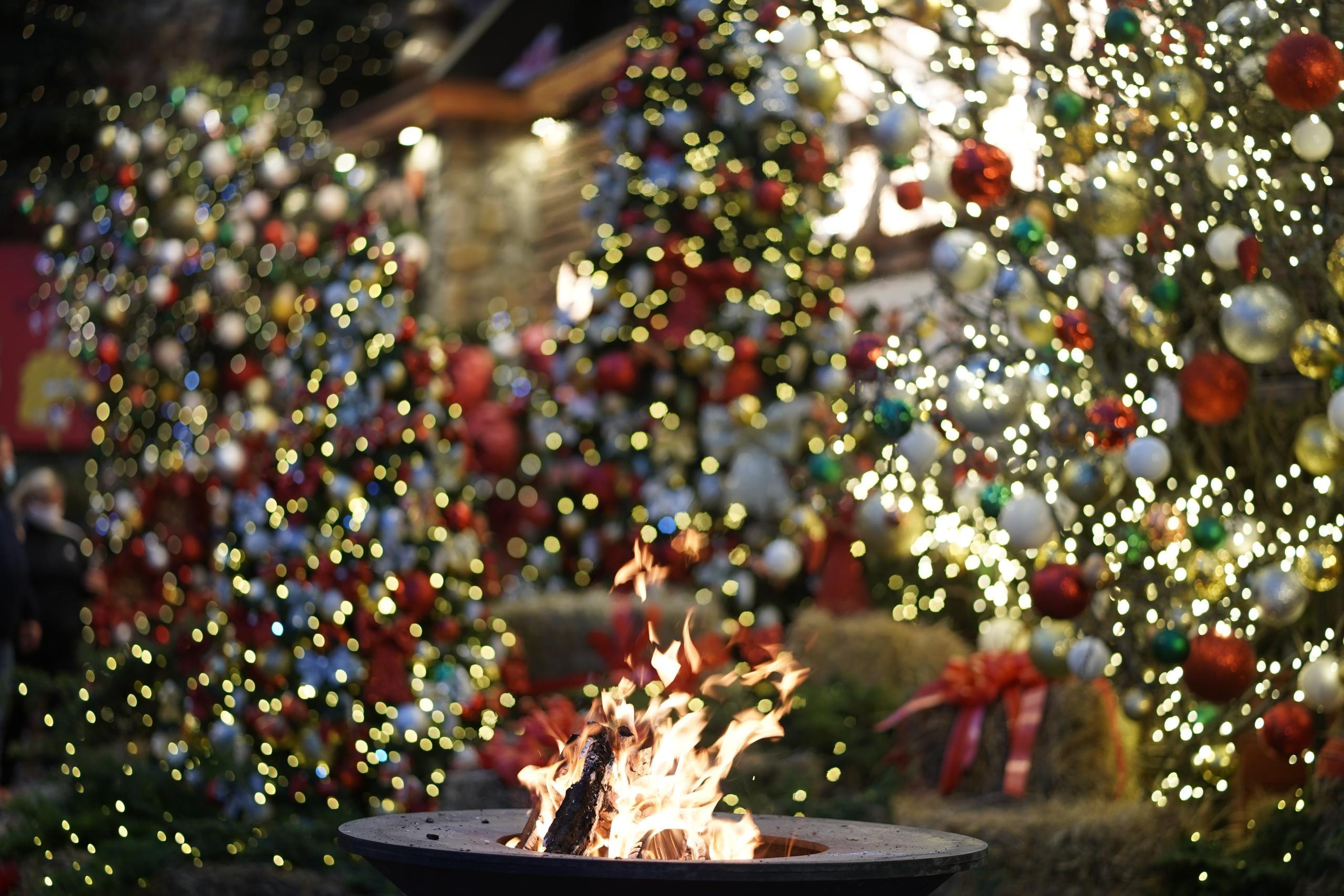 Отзывы клиентов о работе. Портретный и свадебный фотограф в Крыму Аввакумов Максим