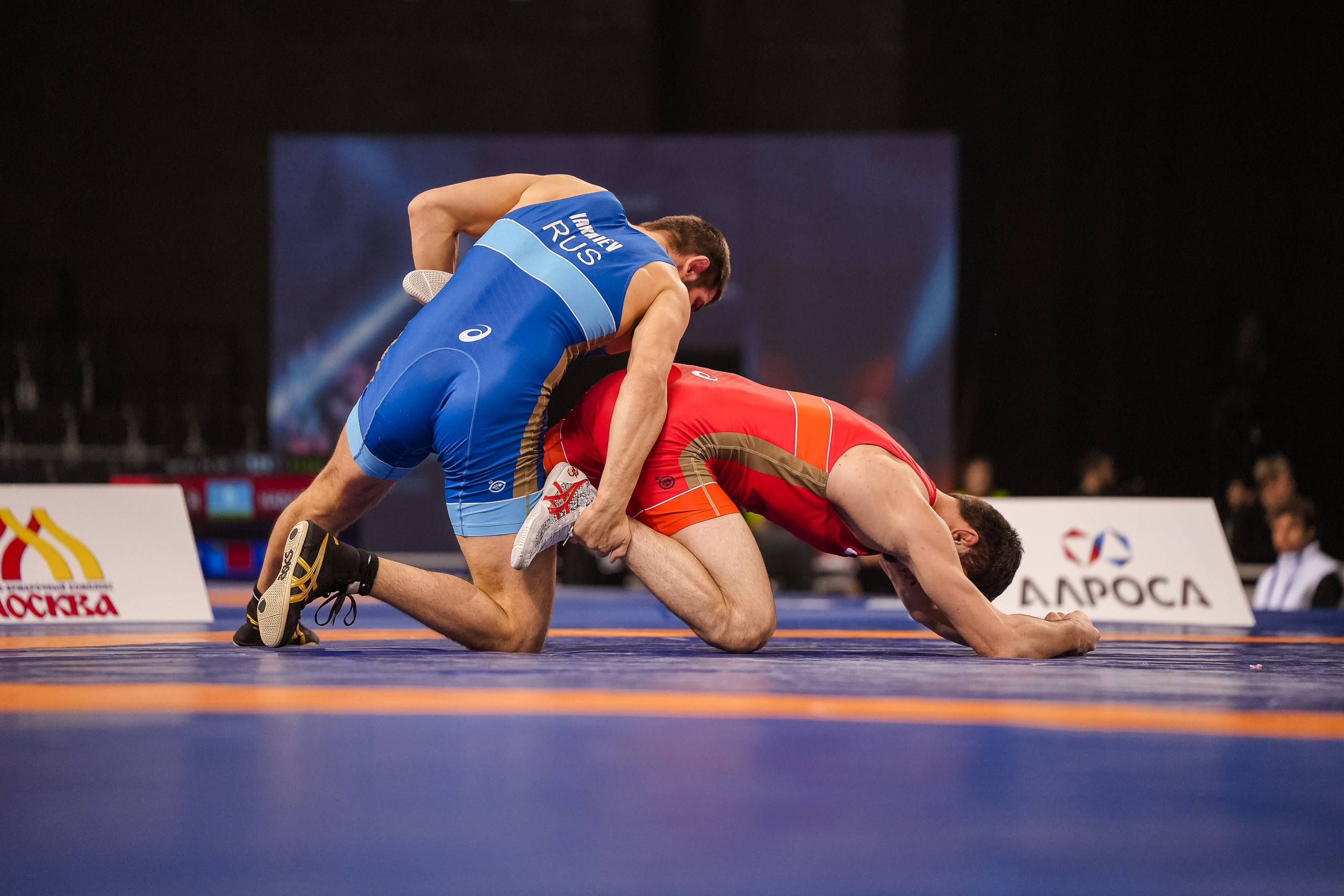 Кубок Ивана Ярыгина 2024 фото / Ivan Yarygin Cup 2024 photos. Фотограф Анна Герман. Красноярск