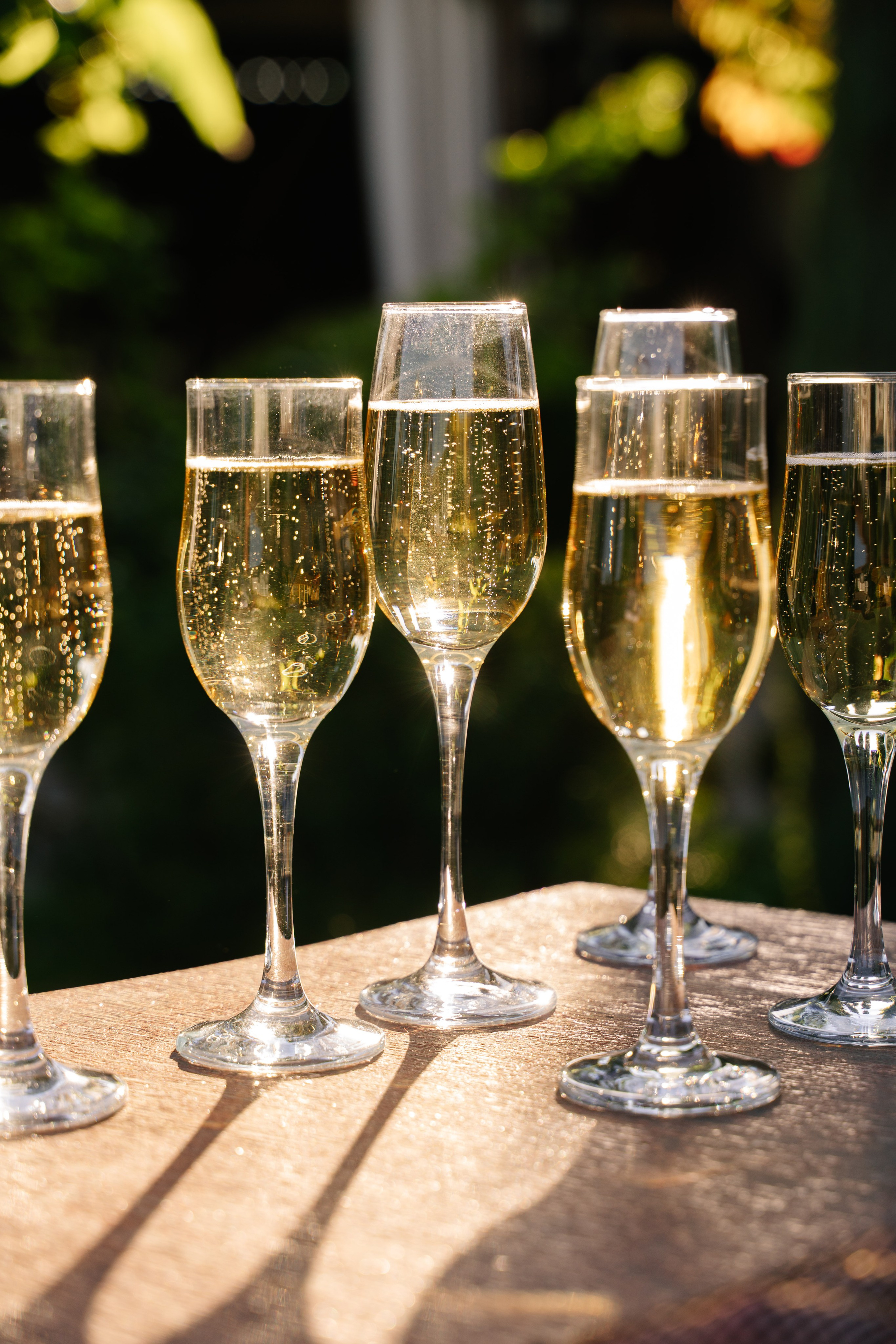 Лидия и Артем. Семейный фотограф Новочеркасск