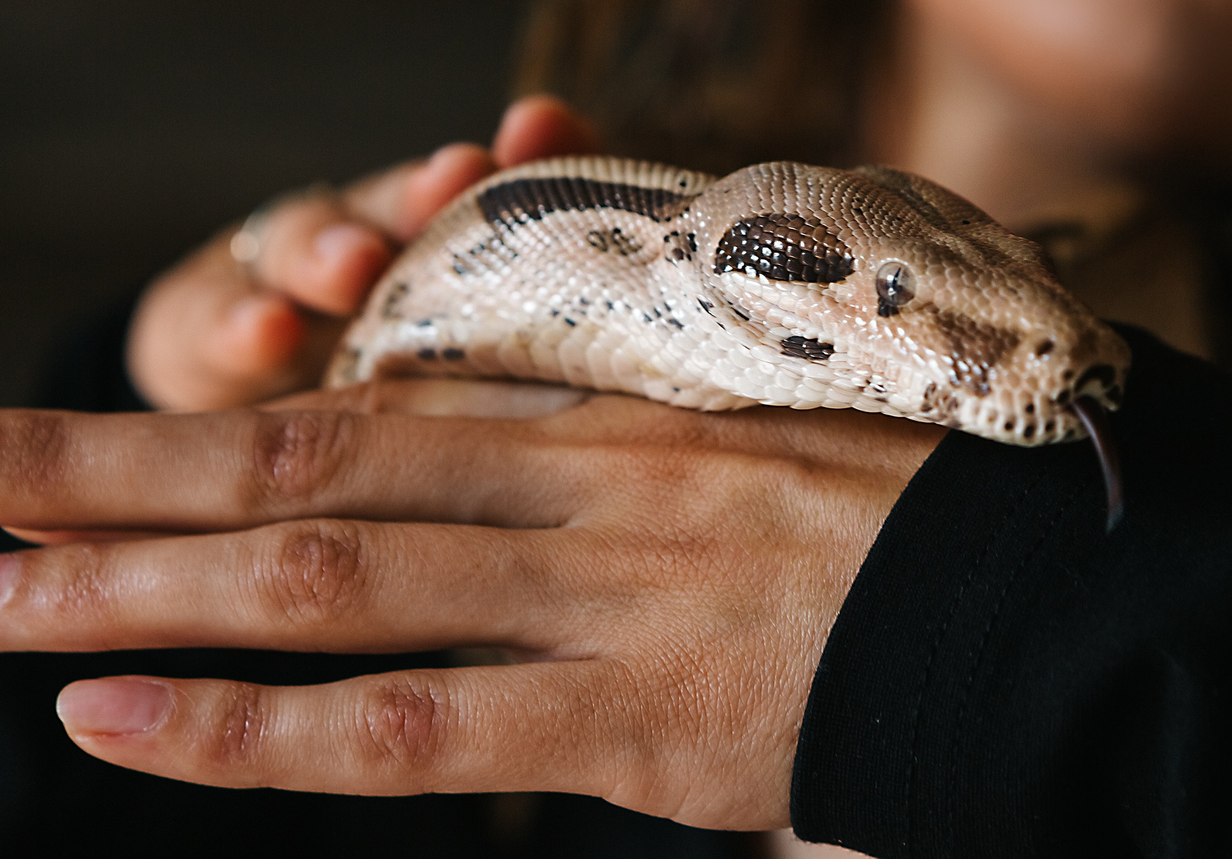 Ирина и Каппучино. Семейный и портретный фотограф в Санкт-Петербурге