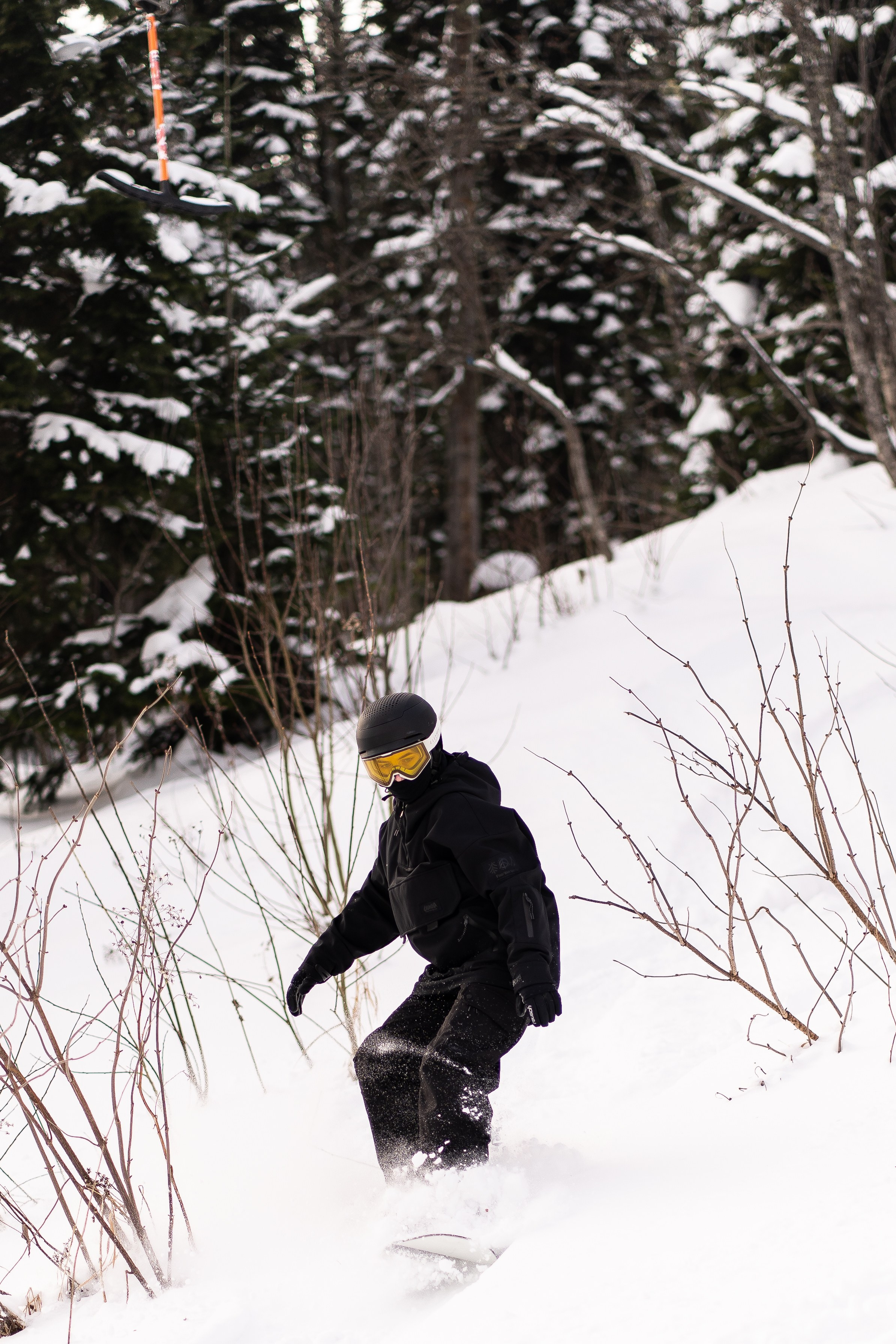 Джой 13.12. Анастасия Паршукова — фотограф Шерегеш Новосибирск