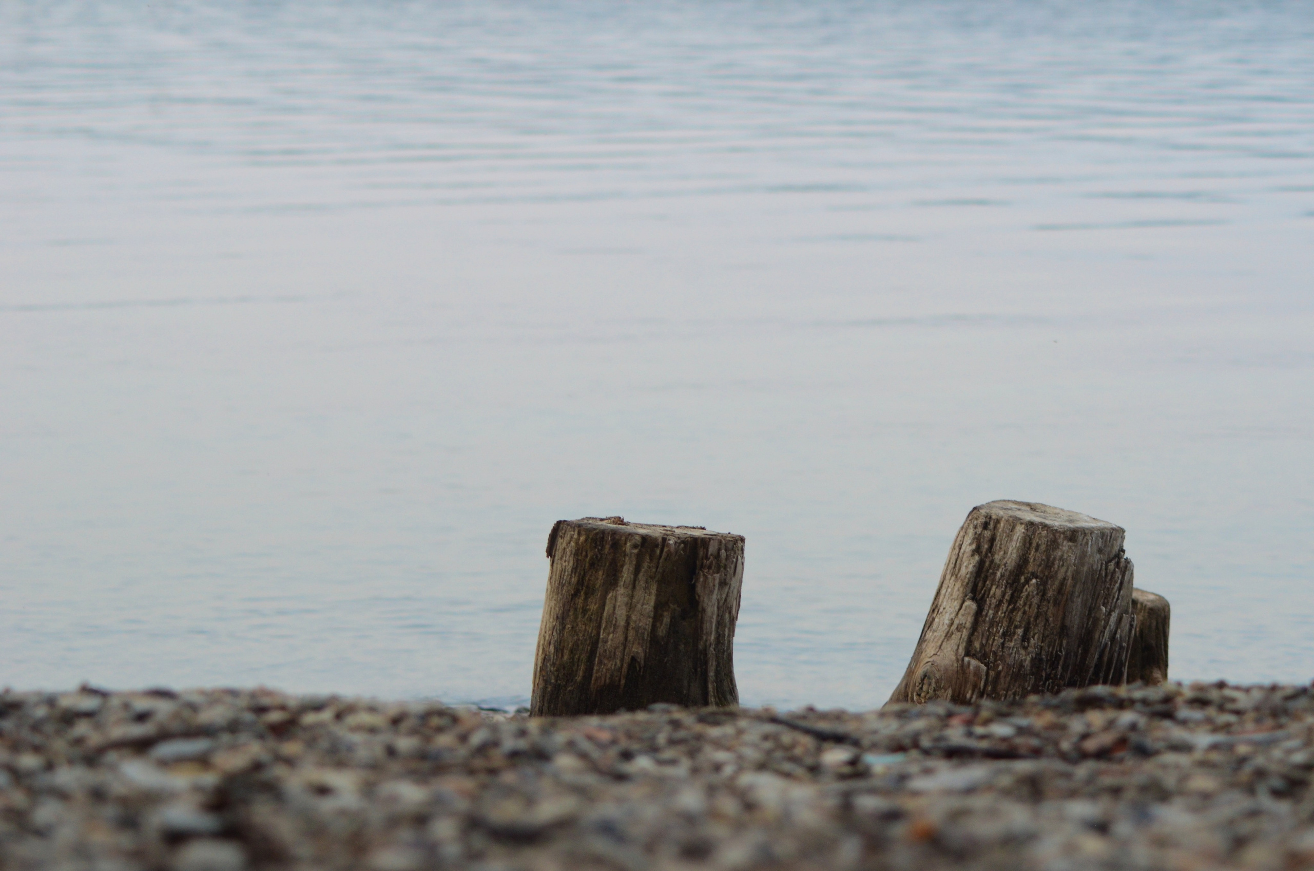 Системы хранения с фасадами из дикого дерева. Авторская фотография. Близнецовые пламёна