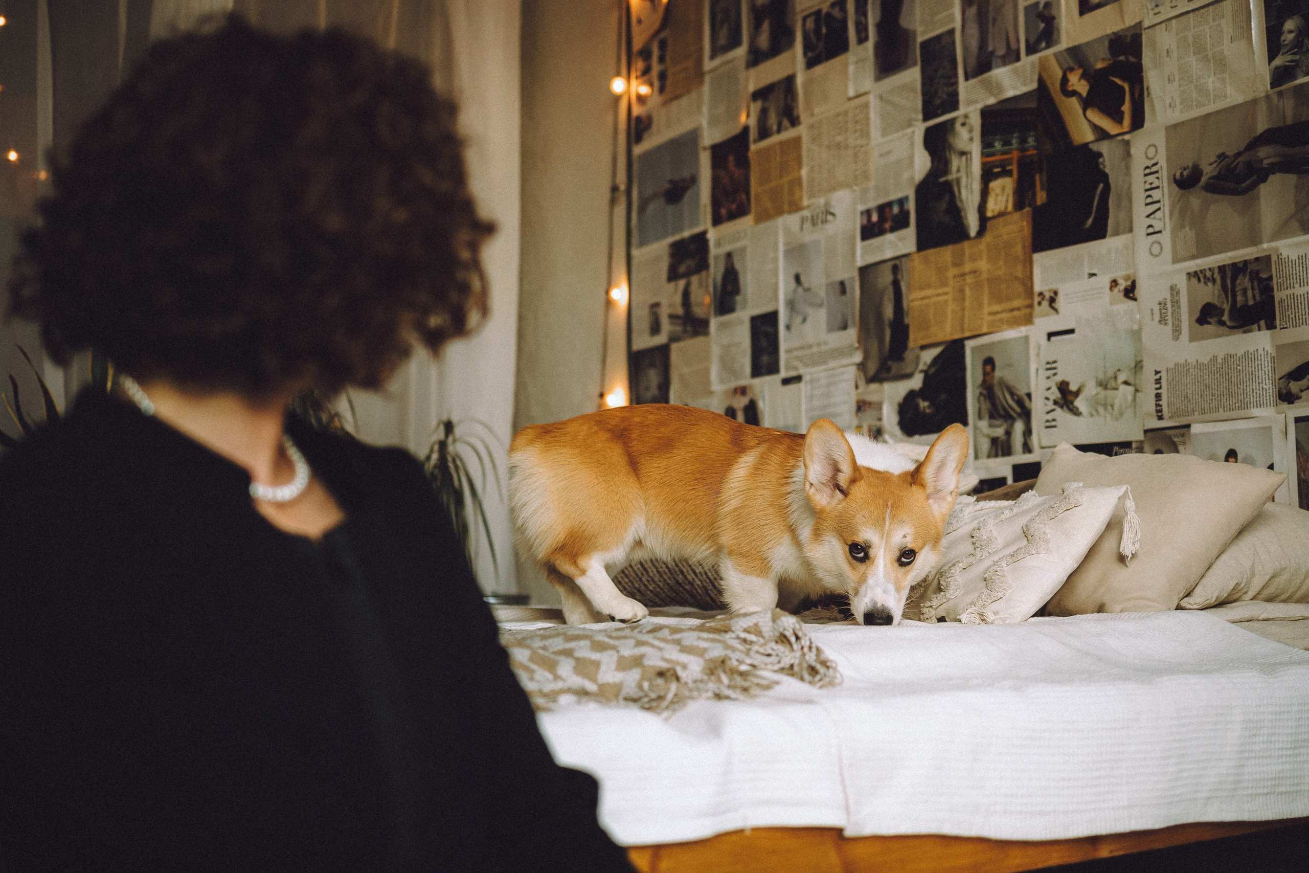 Наталья, Евгений и Мерлин