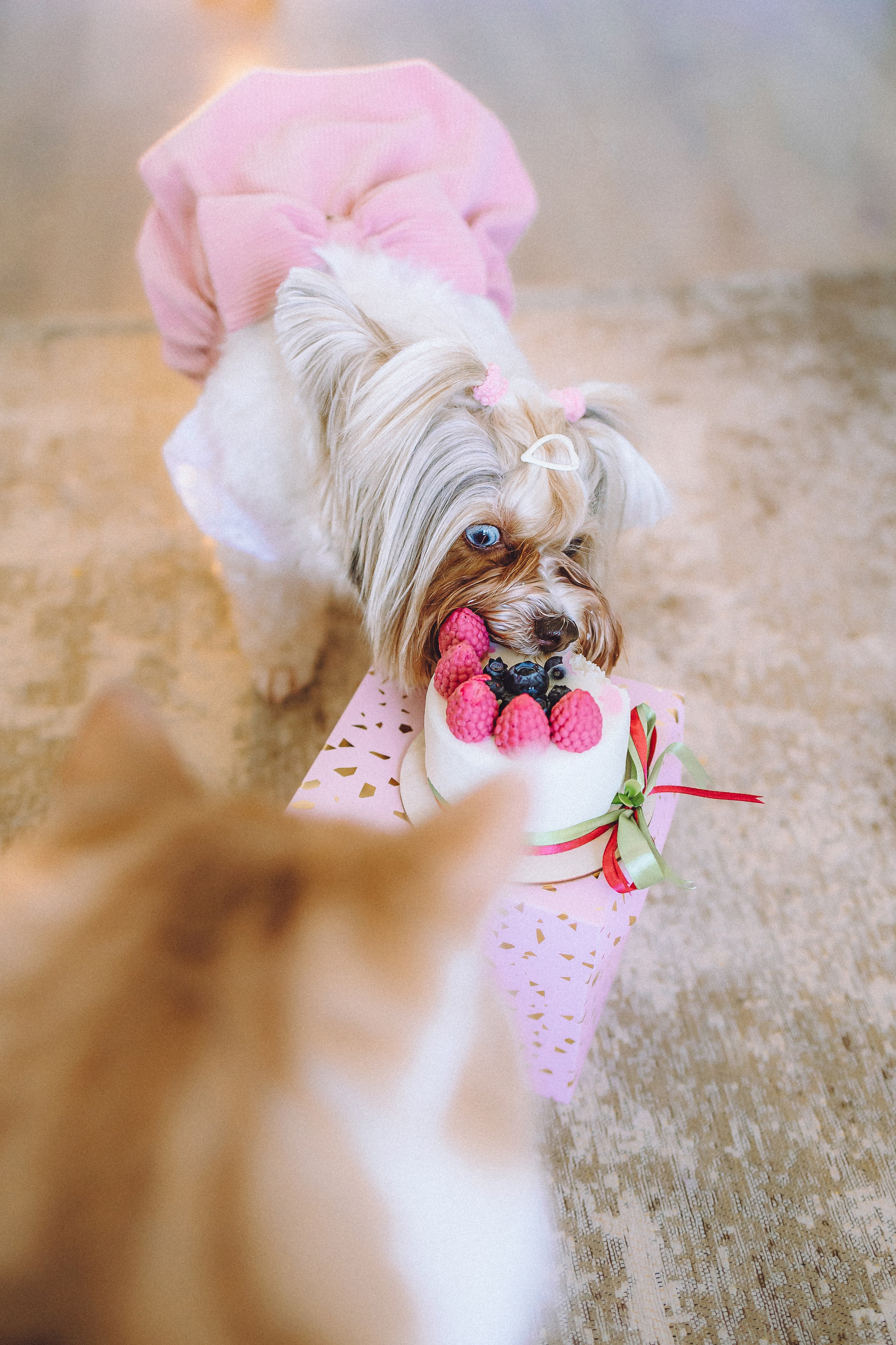 День Рождения Шу