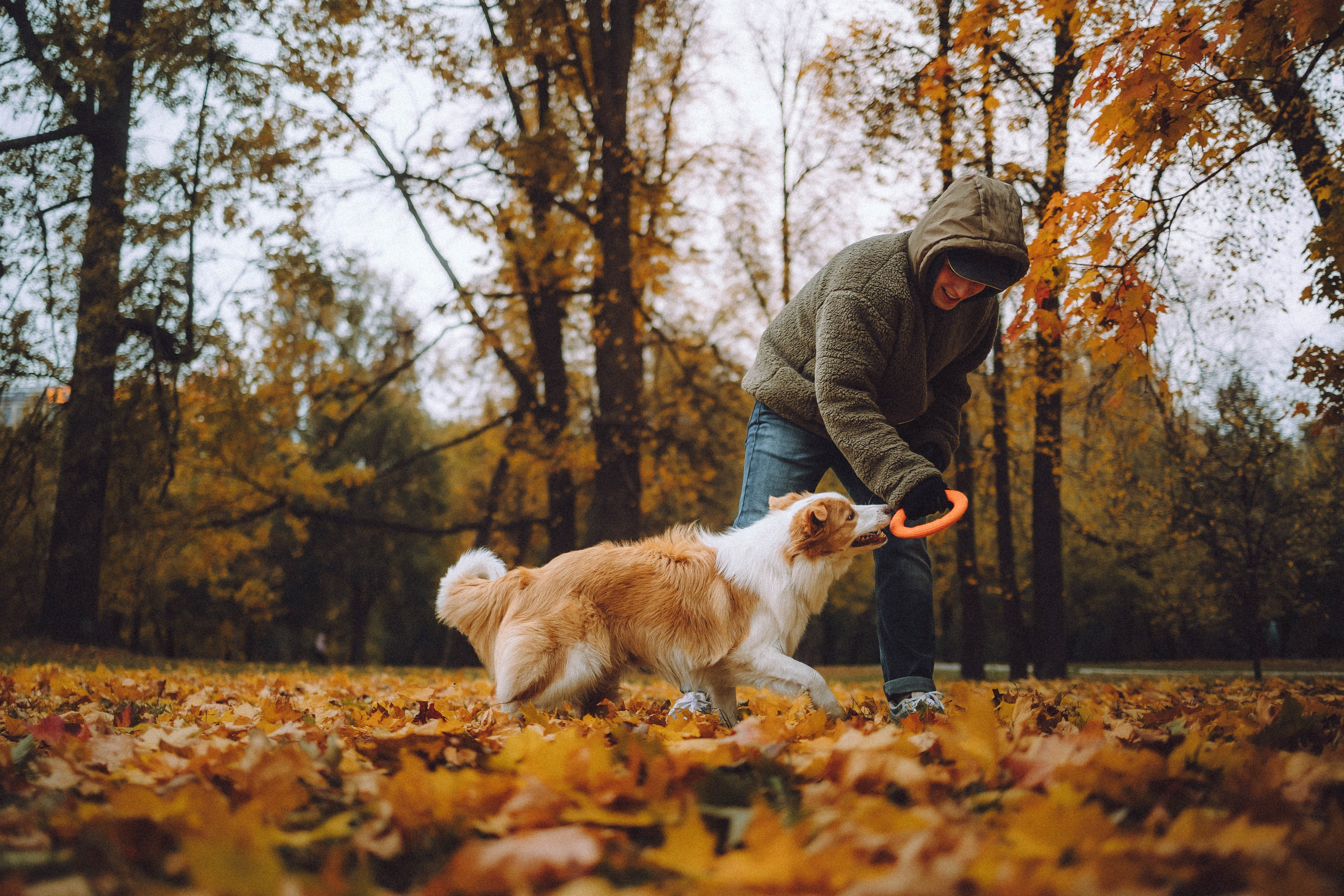 Алина, Витя и Асти