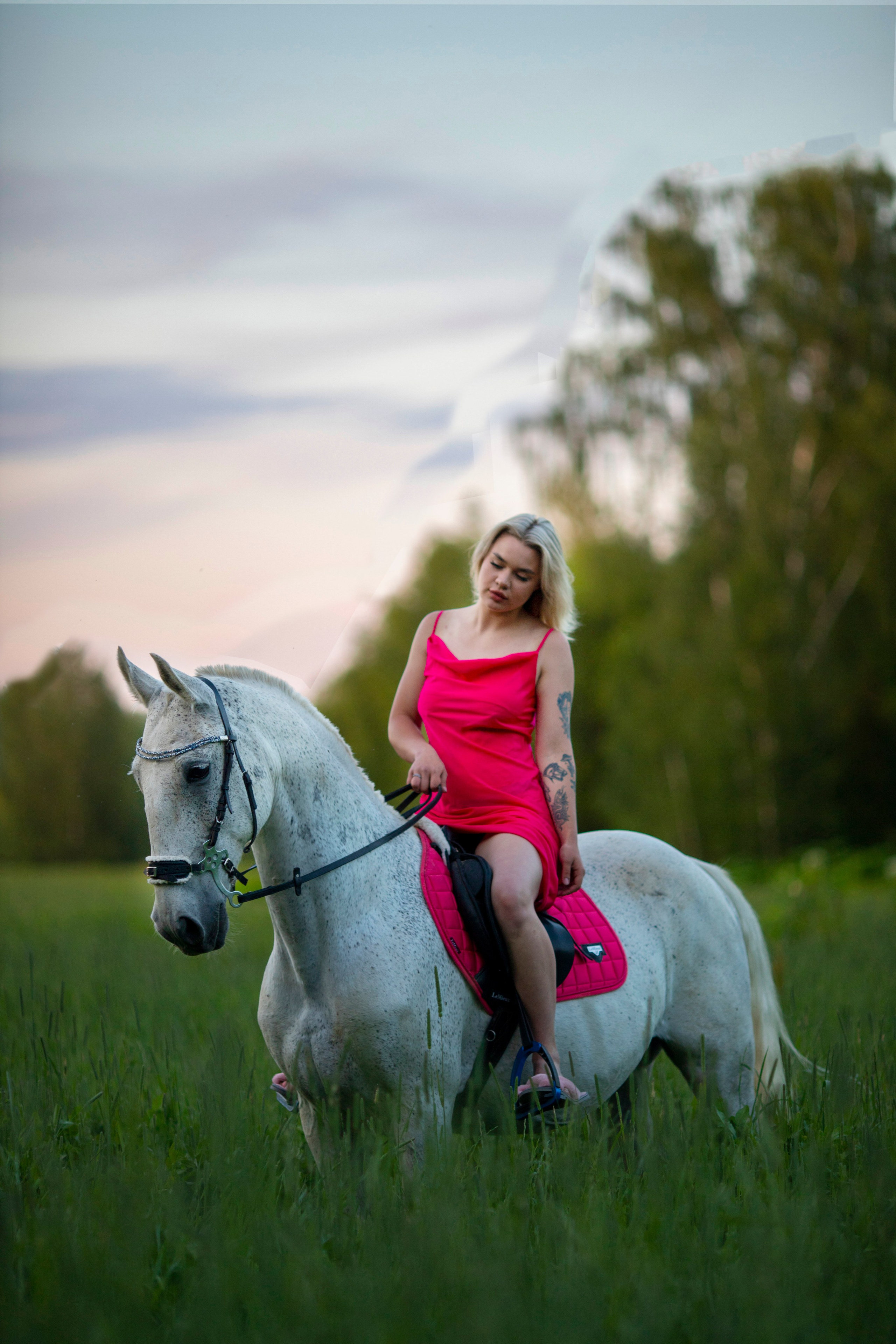 С лошадьми. Фотограф в Москве и в Московской области Сандра