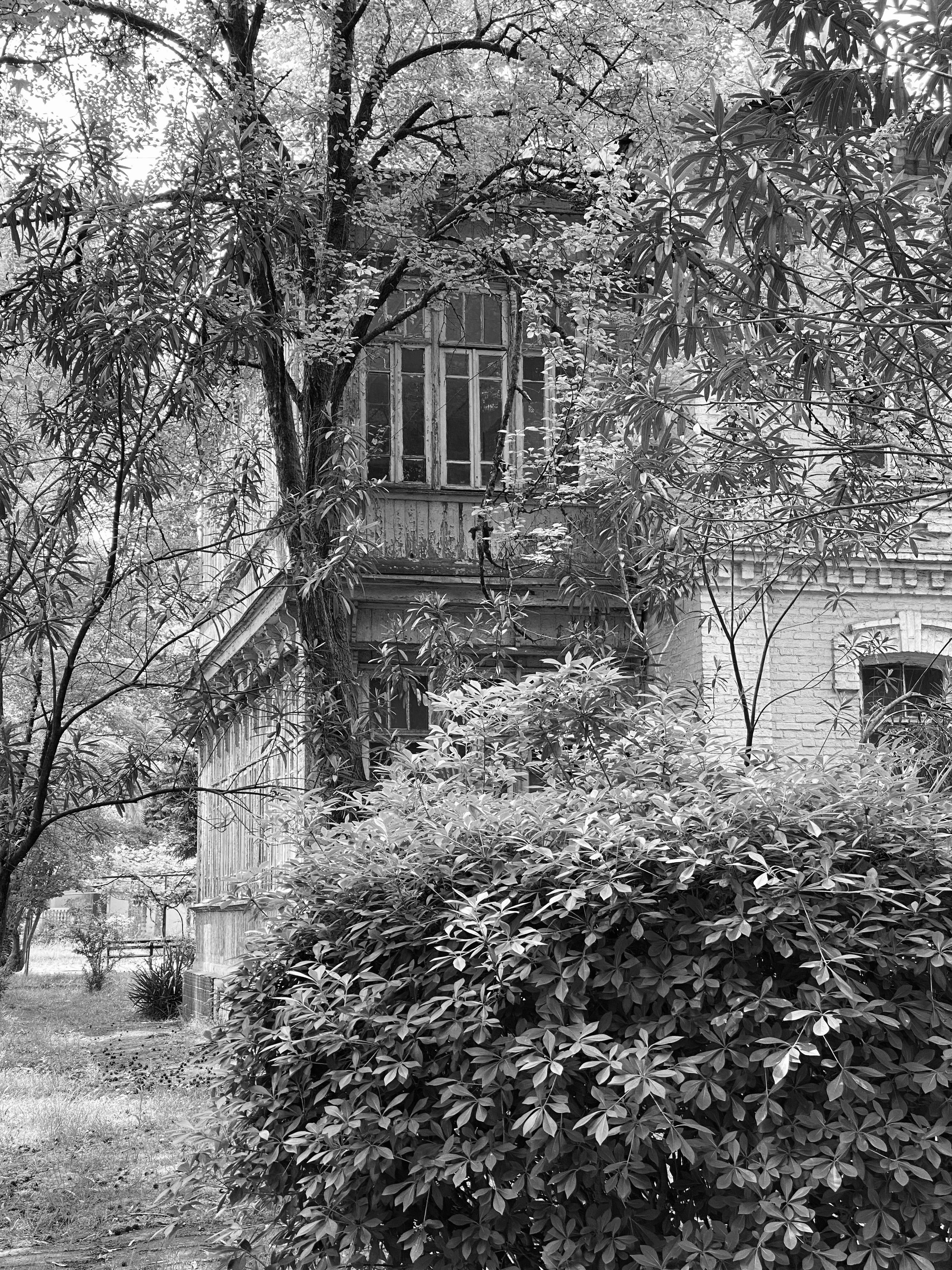 Уличная фотография