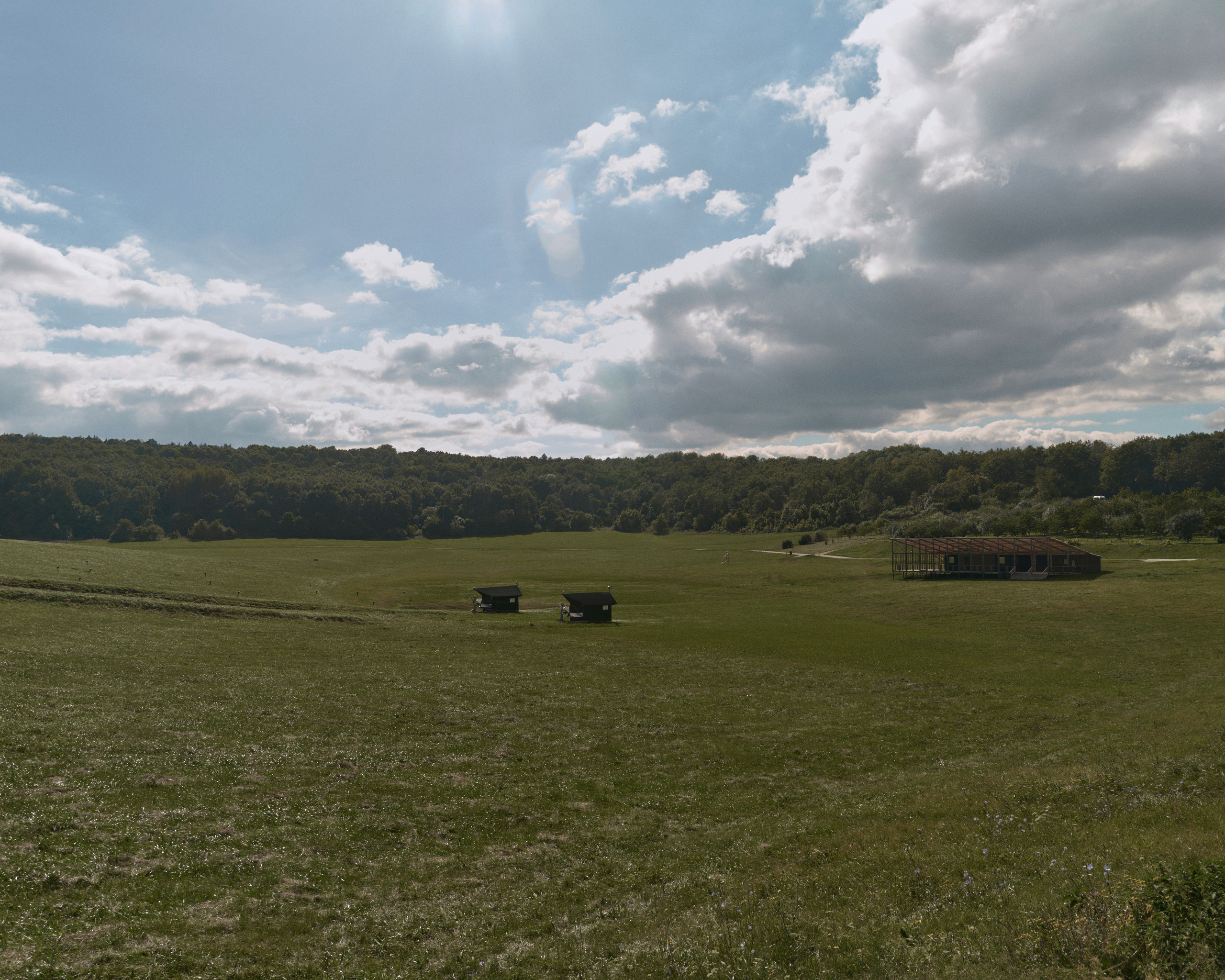 Julia. Z H U R A V L E V