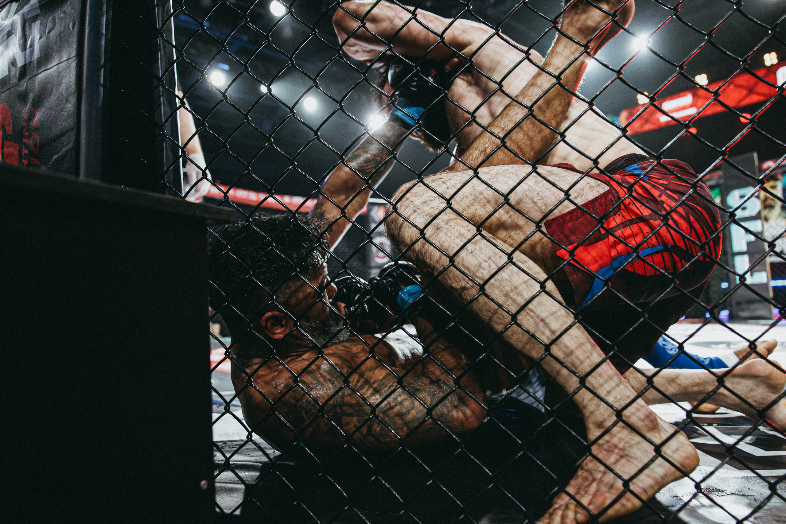 MFP255 ДУГЛАС РИБЕЙРО VS МАКСИМ БУТОРИН. Фотограф Иркутск Антипин Сергей