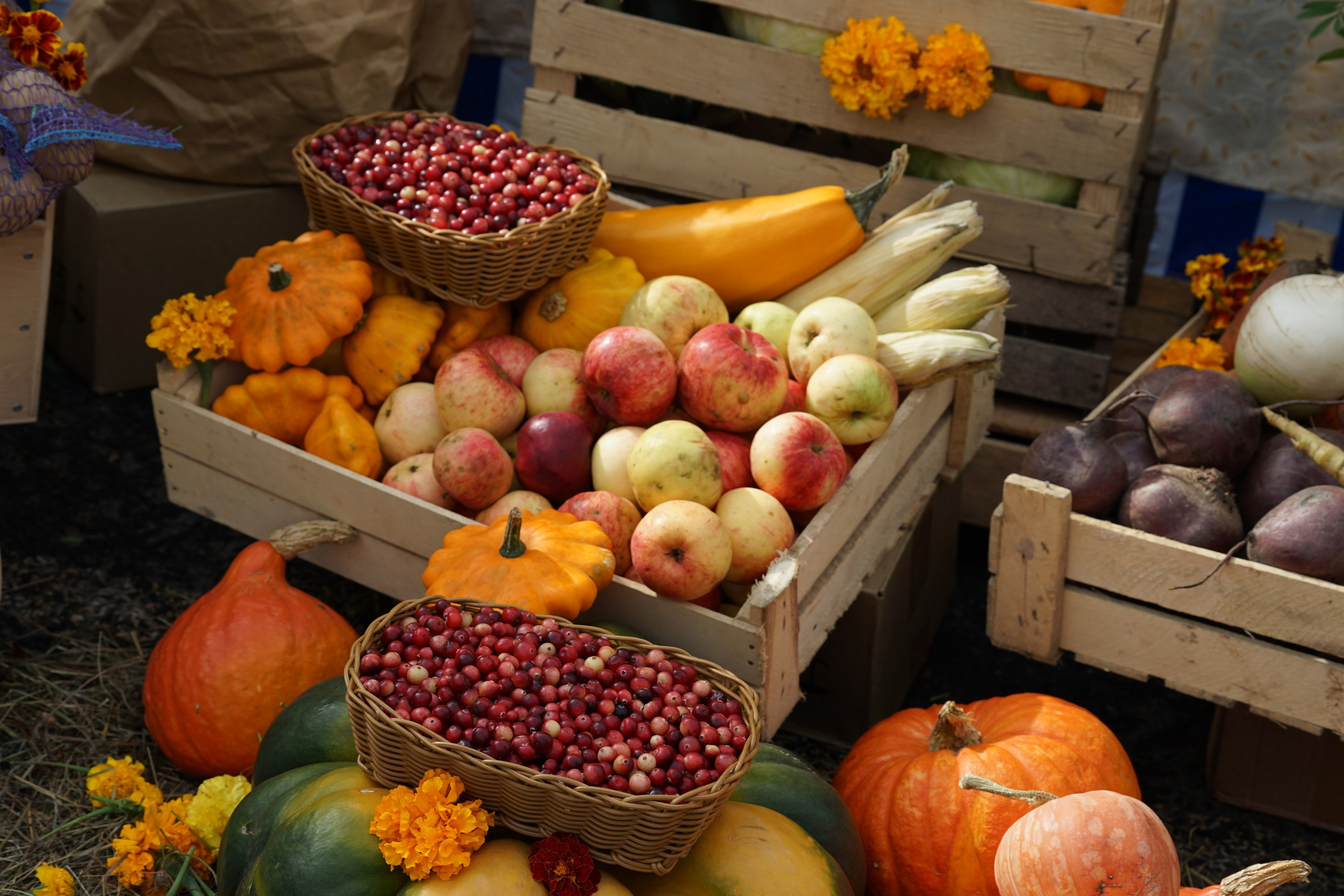 Предметная съёмка. Фото и видеосъёмка в Ярославле | Грибов Медиа контент студия  — от 2500 ₽/час