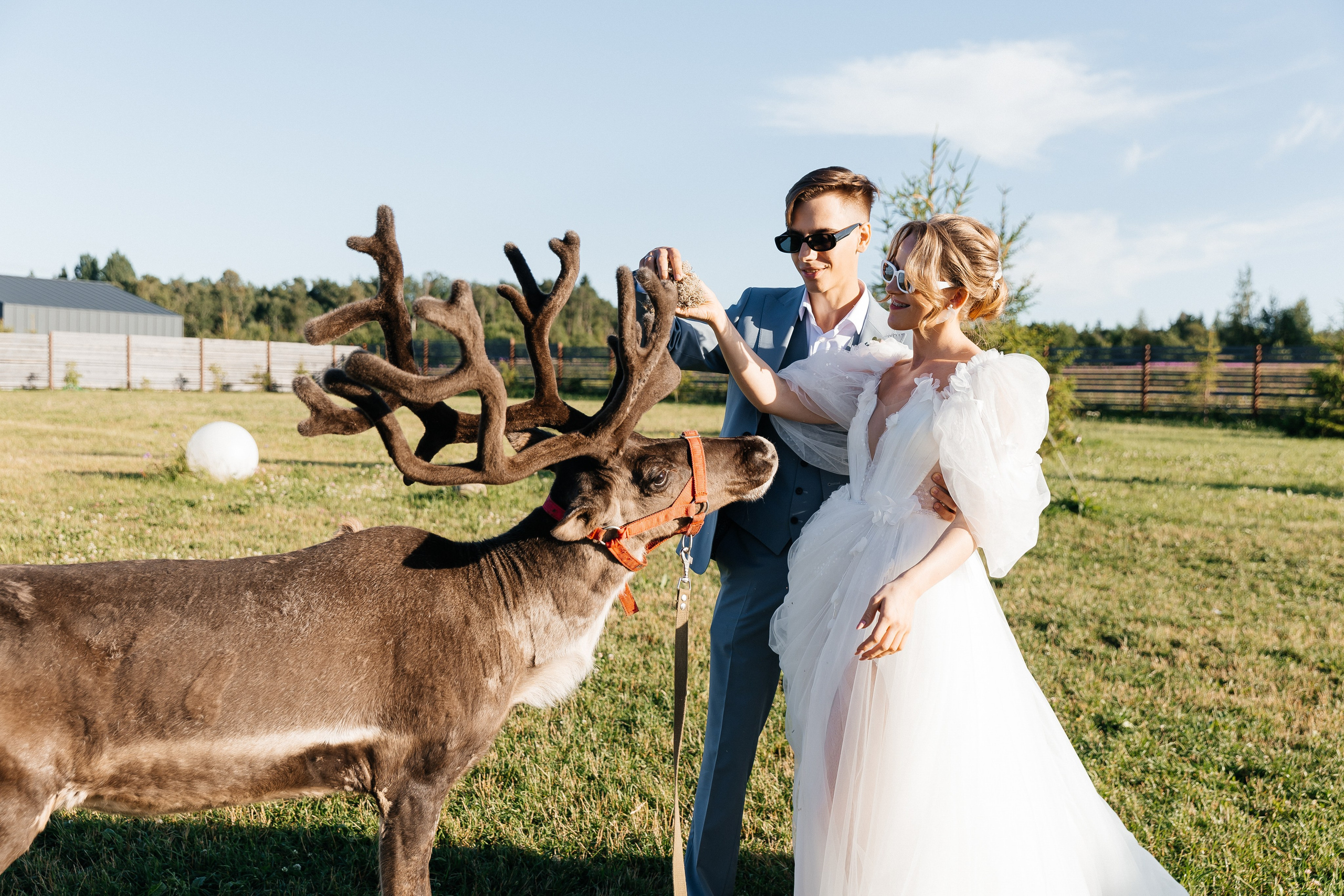 Александр и Евгения. Свадебный и репортажный фотограф в Санкт-Петербурге Николай Голованов