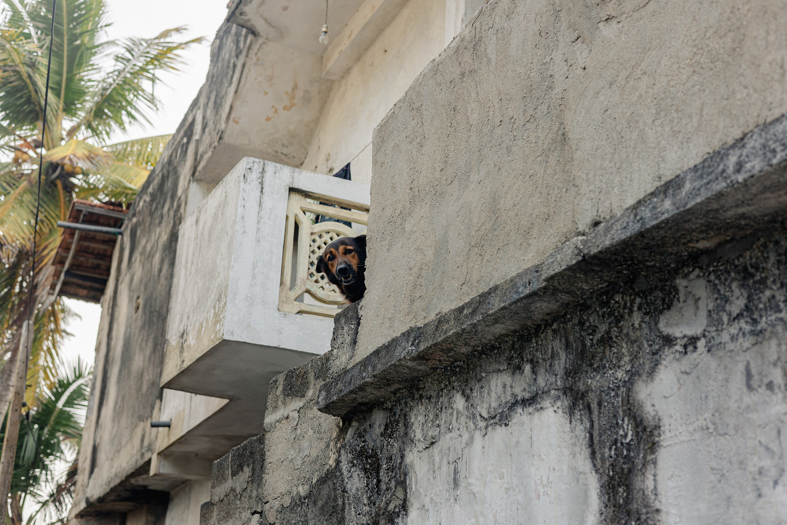 Амбалангода. Фотограф Сонкина Татьяна