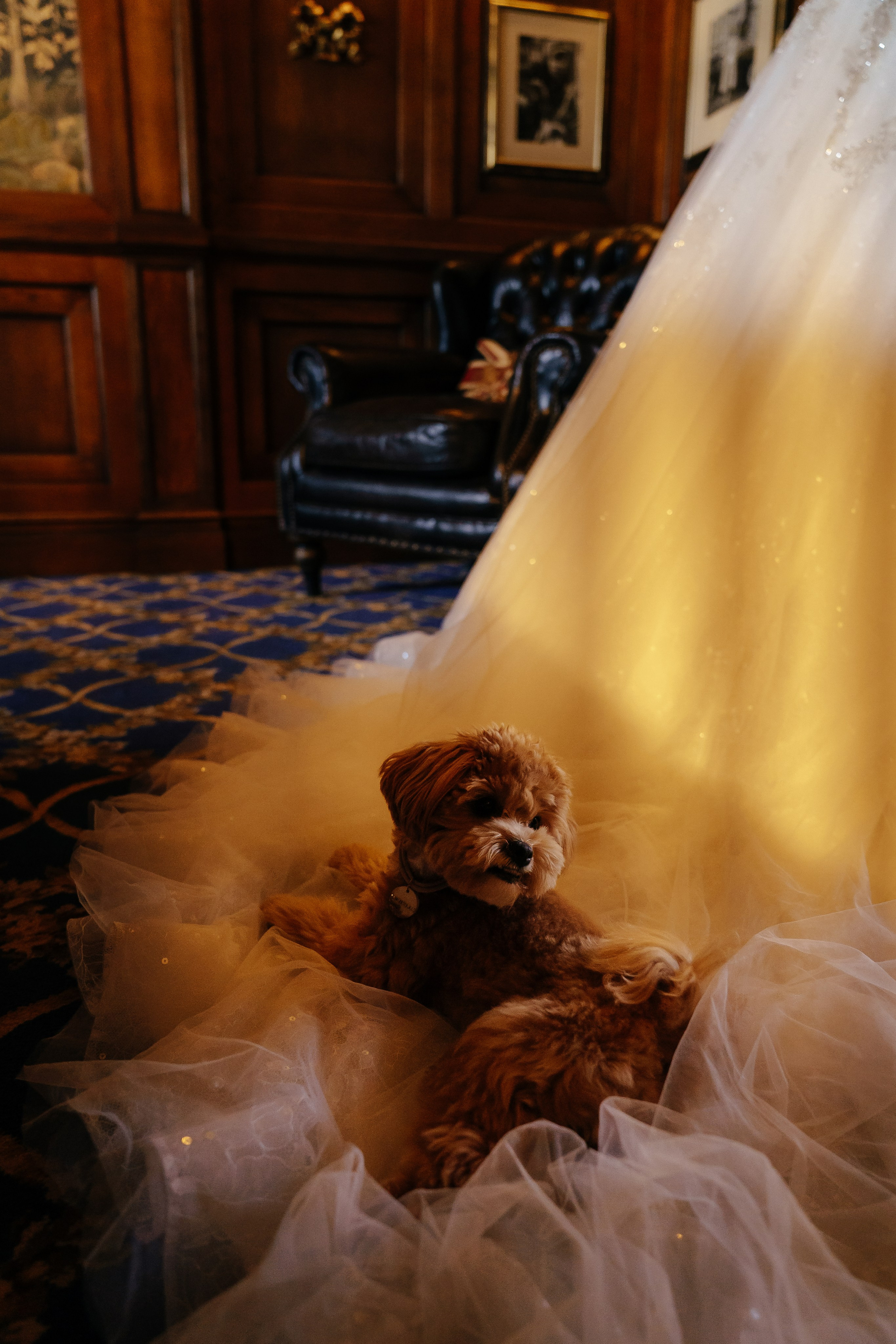 Виктор и Анастасия. Свадебный и репортажный фотограф Ростов-на-Дону Алексей Гуль