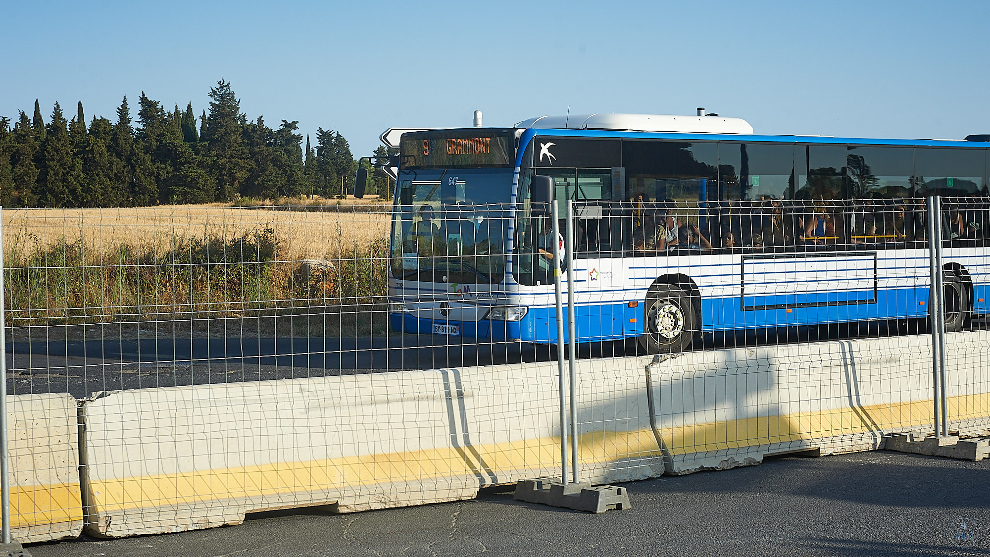 Krystal Noir Orchestre — Montpellier 14 July. Фотографии отовсюду и обо всем