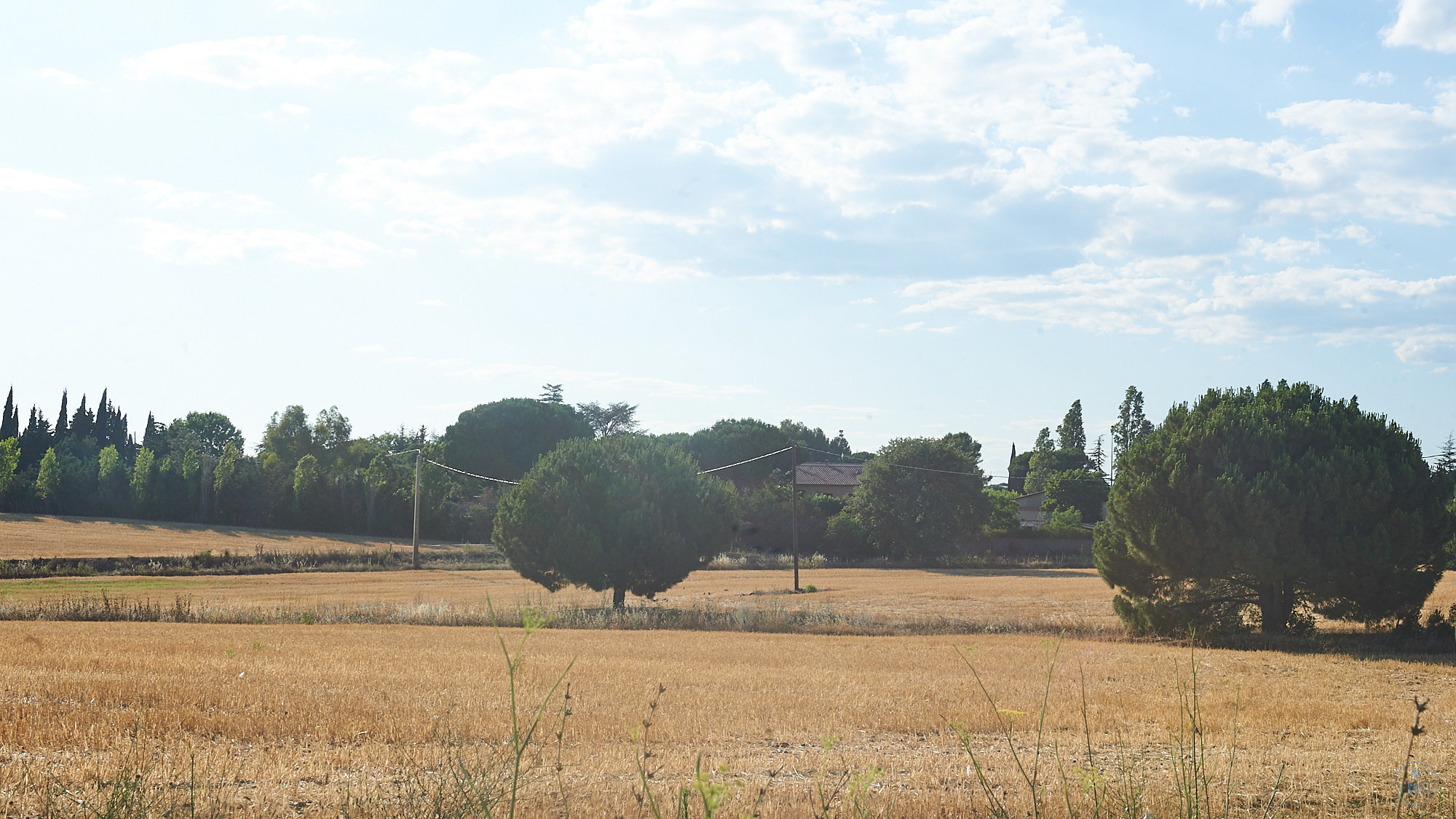 Krystal Noir Orchestre — Montpellier 14 July. Фотографии отовсюду и обо всем