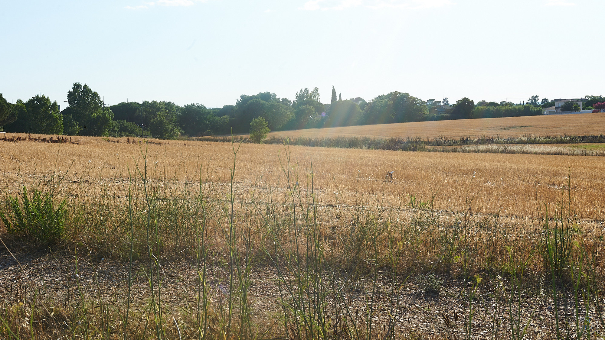 Krystal Noir Orchestre — Montpellier 14 July. Фотографии отовсюду и обо всем