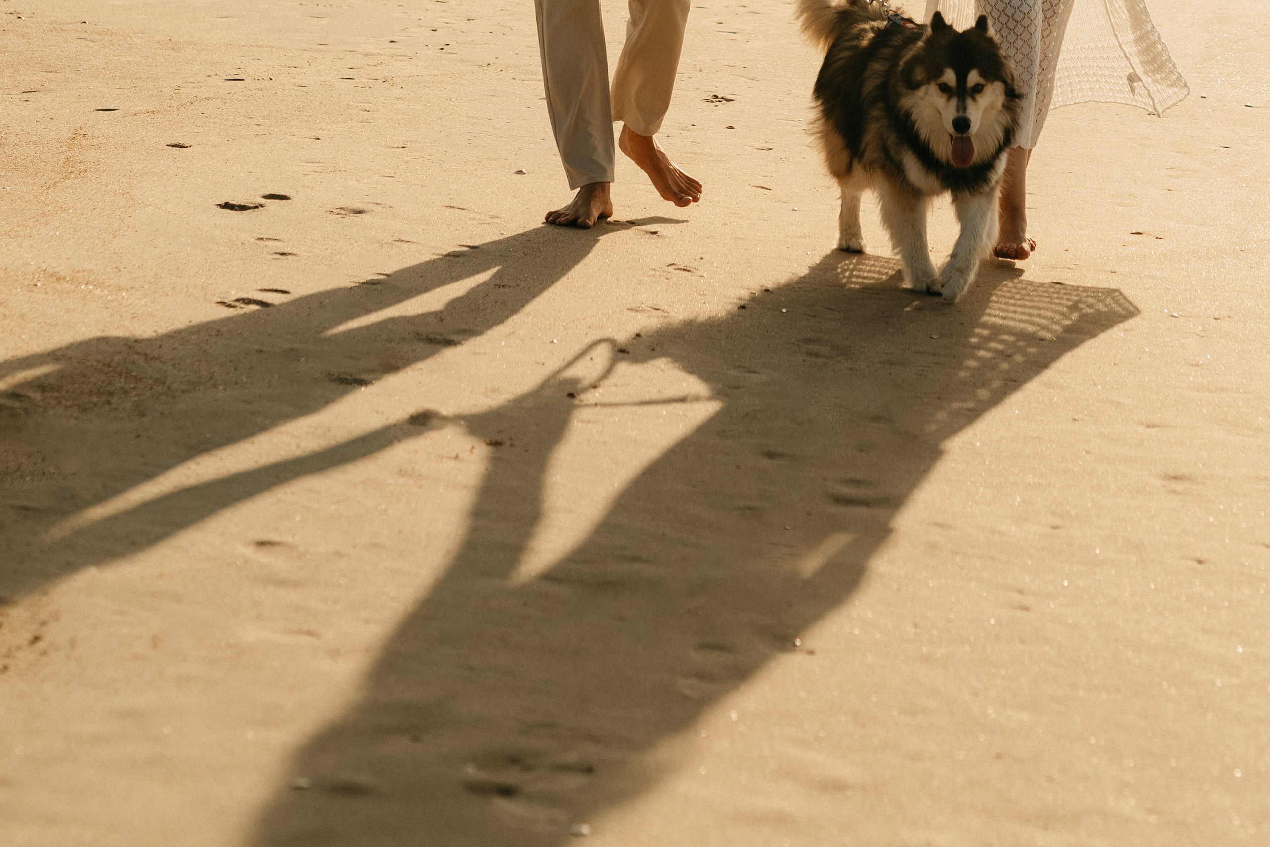 Anna & Erez: Pregnancy. Family photographer in Israel | Alesya Superfin