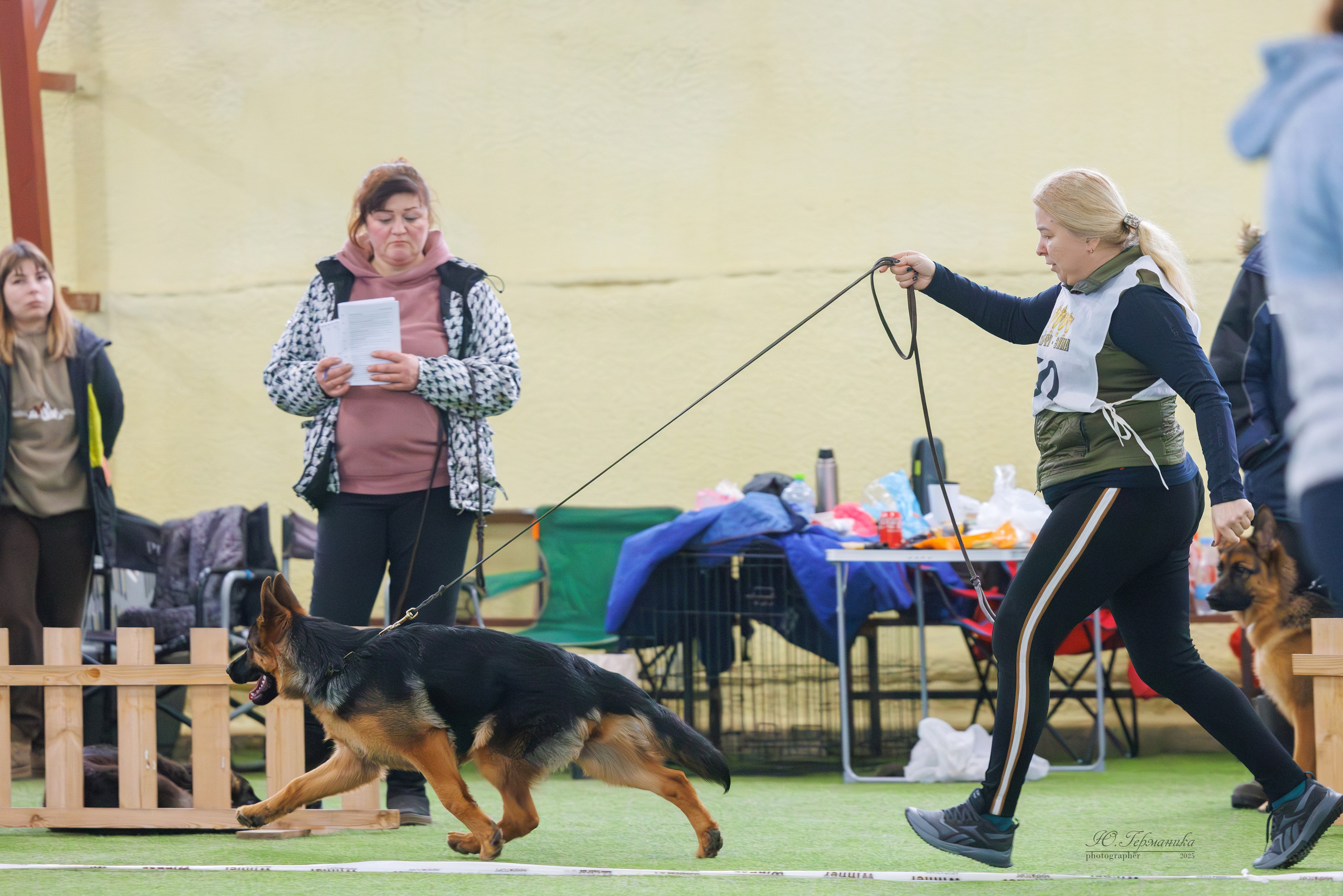 Гран-При 8.02.2025 и Крокус 09.02.2025. Фотограф-анималист Юлия Германика