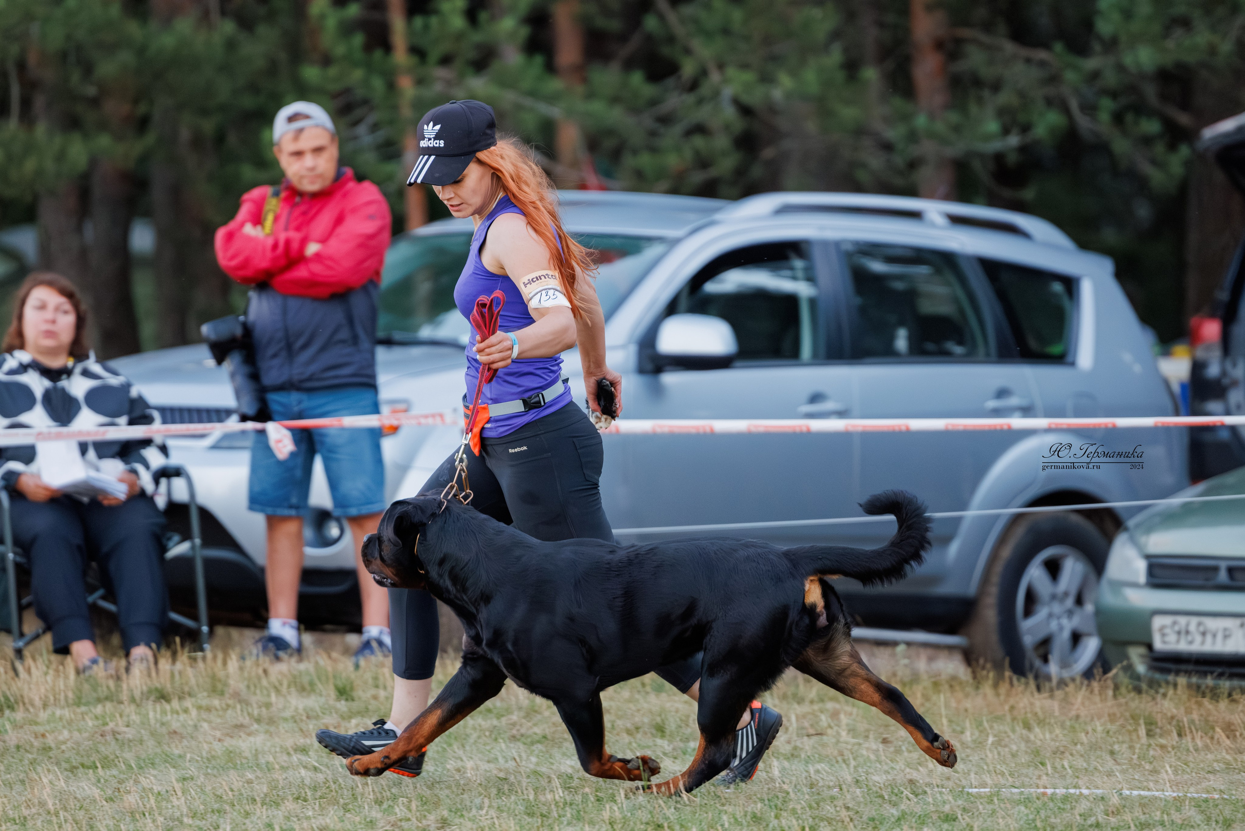 ПК и КЧК ротвейлеры Тверь 6-7.07.2024. Фотограф-анималист Юлия Германика