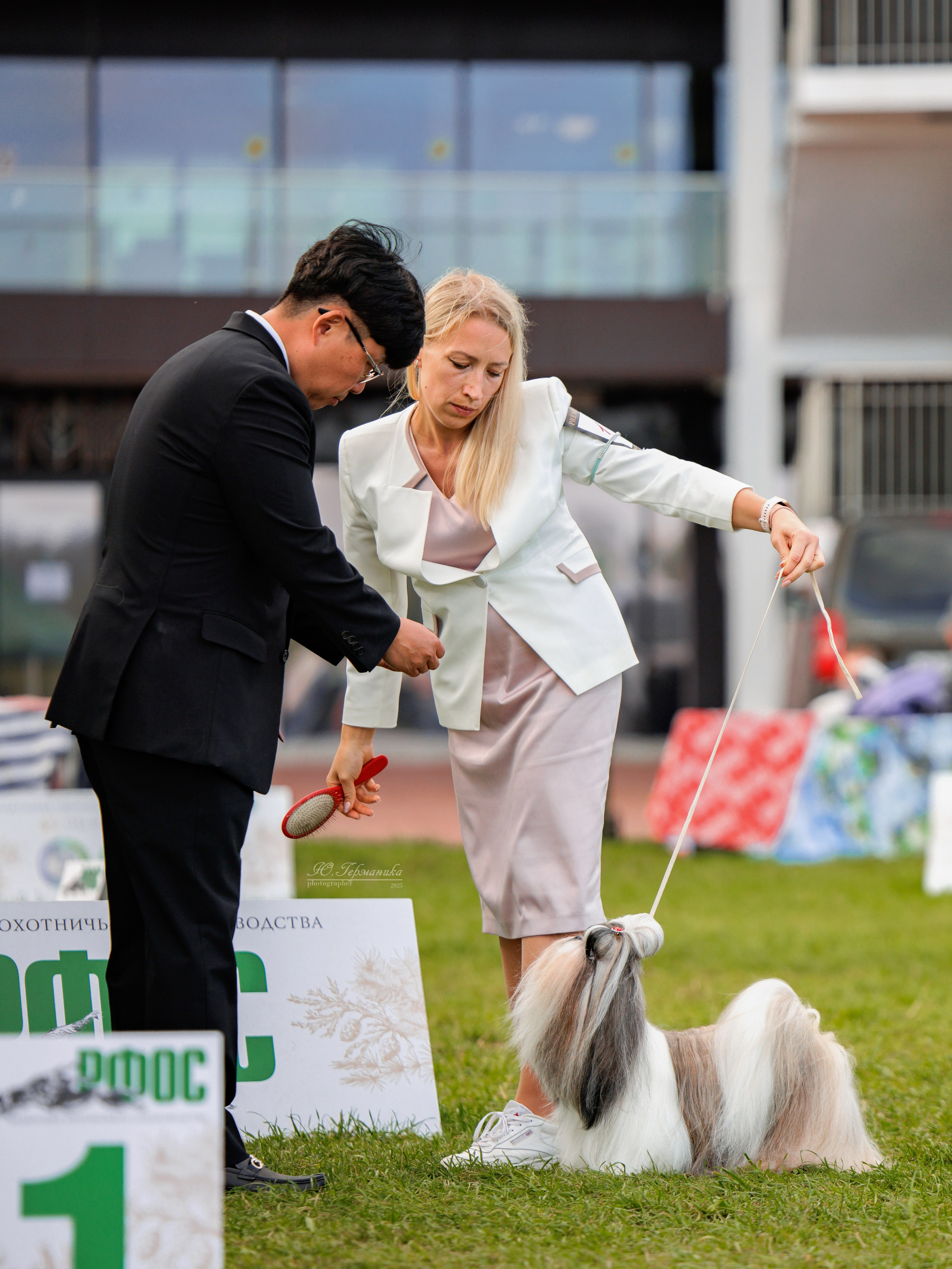Переславль 5-7.08.2025. Фотограф-анималист Юлия Германика