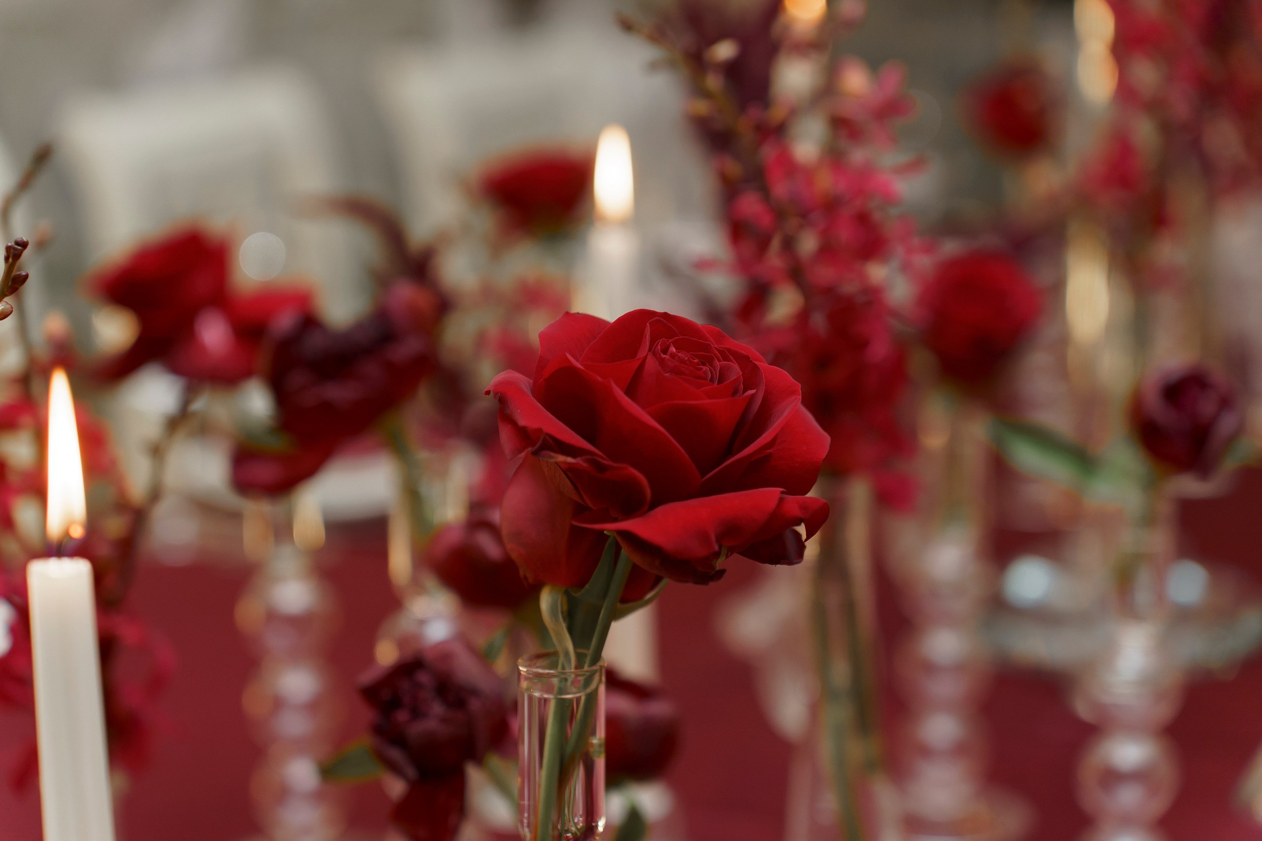 С днем рождения. Свадебный фотограф в Москве. Диана Грицай