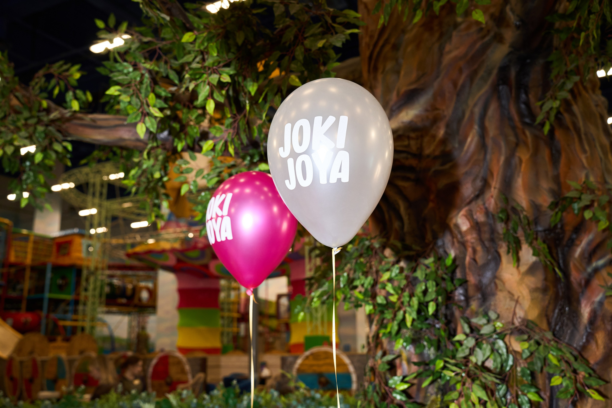 День Рождения. Елизавета Мальгина, фотограф в Москве