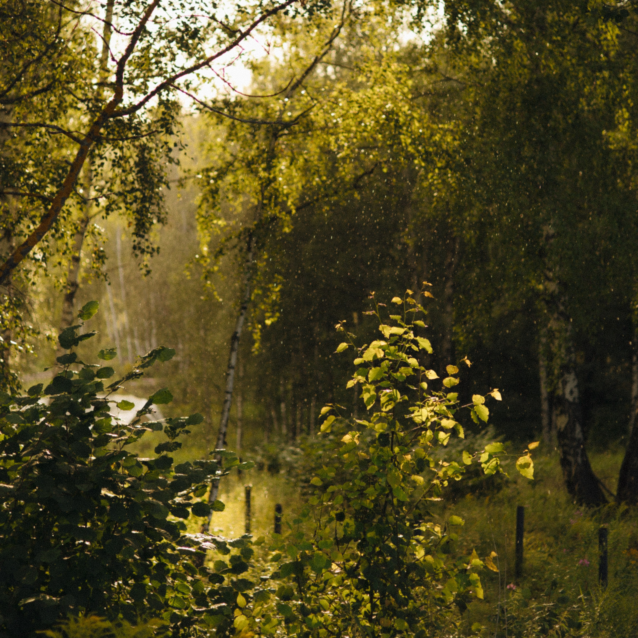 The Sun Always Shines on T.V. Свадебный фотограф Нижний Новгород Москва