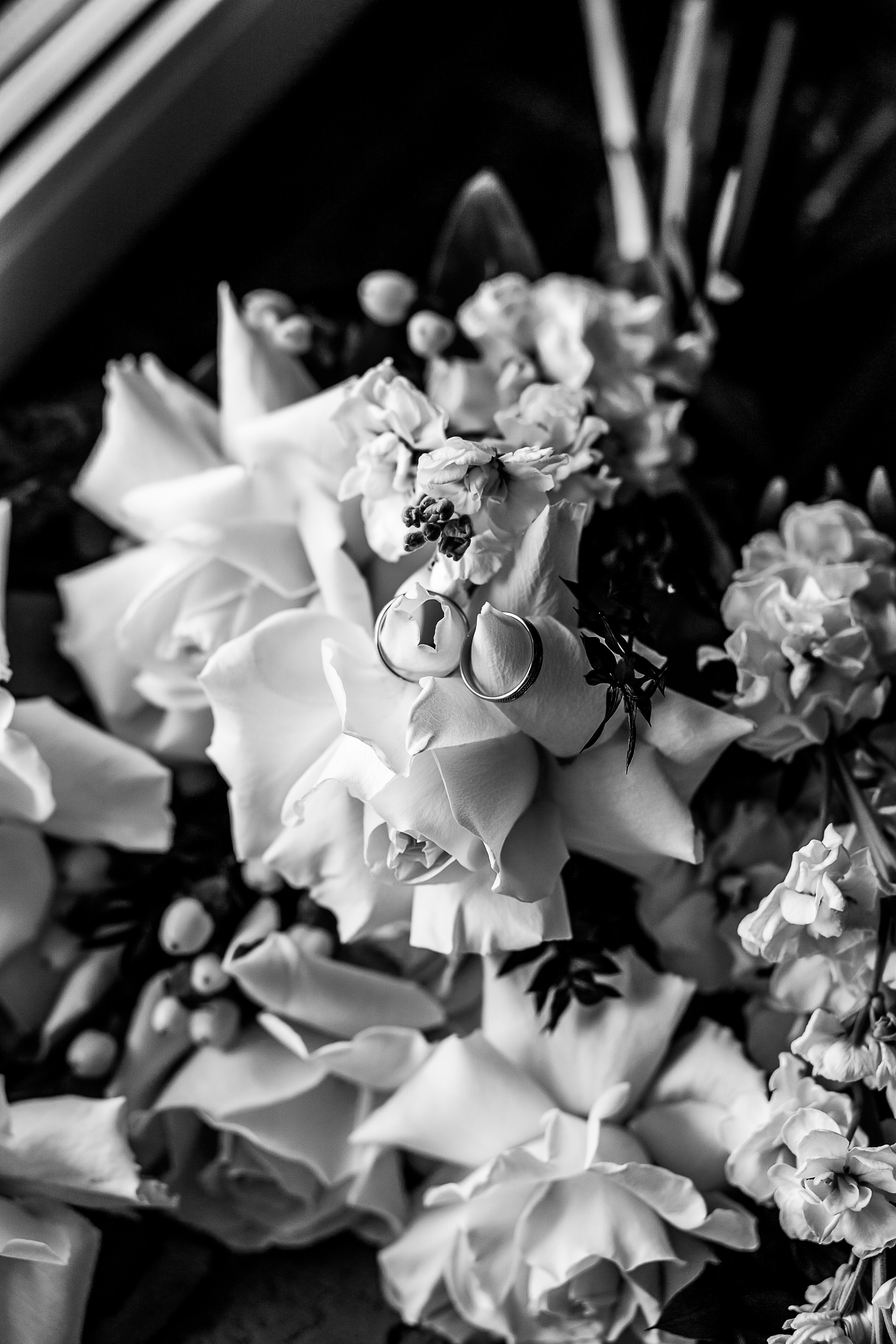 Фотосессия Олега и Алеси. Свадебный и семейный фотограф в Твери и Тверской области