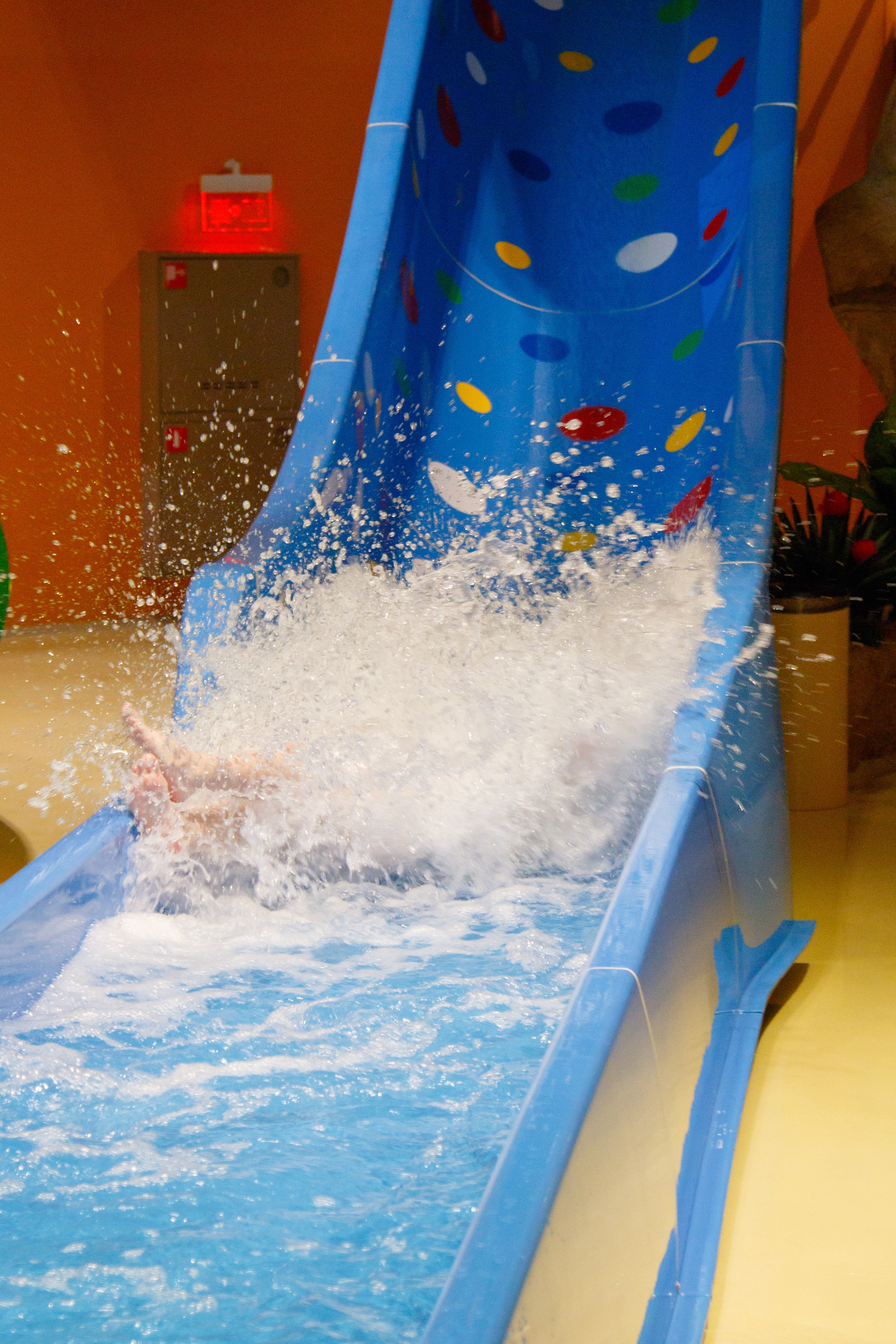 Съемки рекламы для аквапарка «ЛЕТОЛЕТО». Фотограф Авилова Дарья ● Тюмень● Съемка больших семей ●Архив поколений