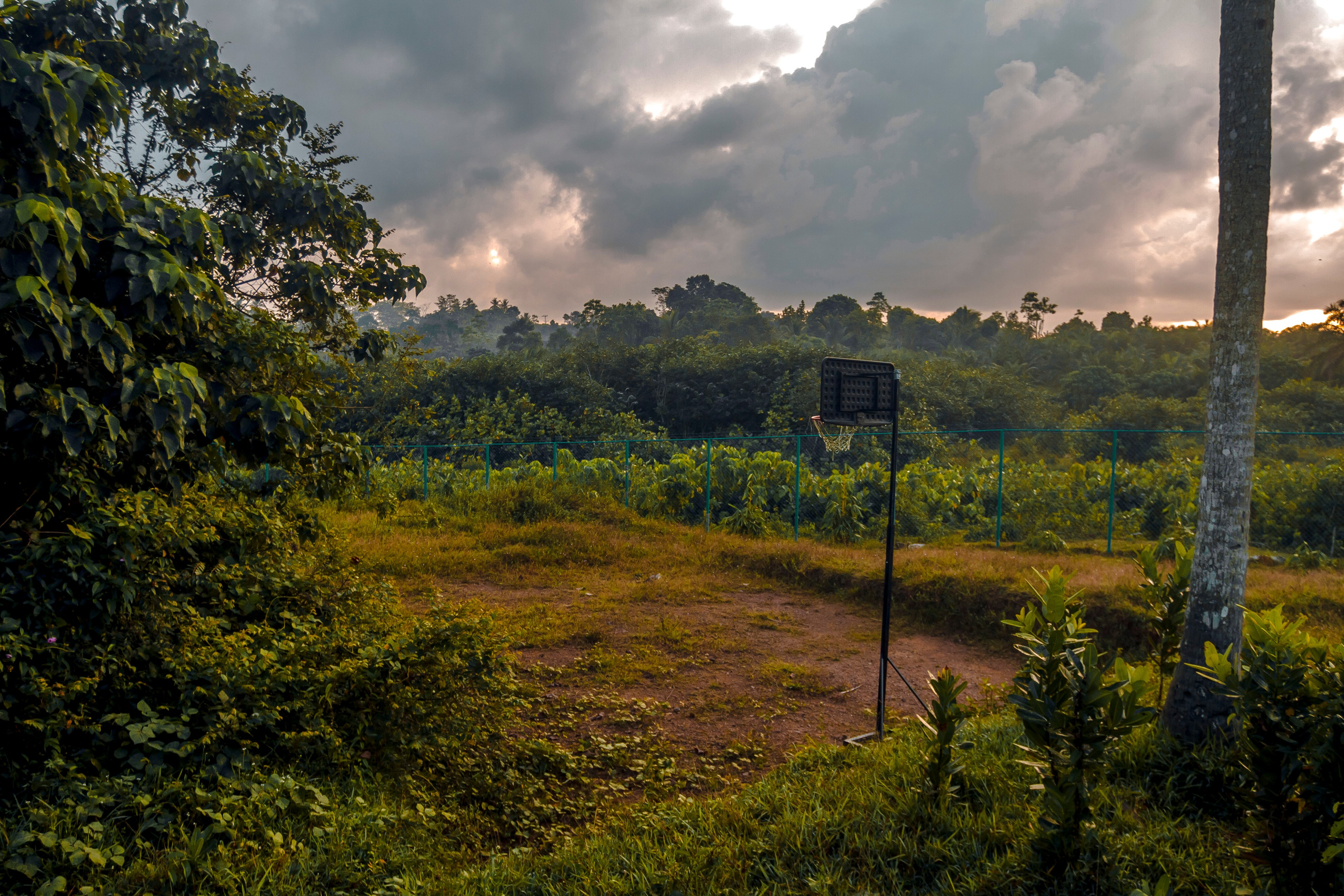 Sri Lanka. Art Photographer