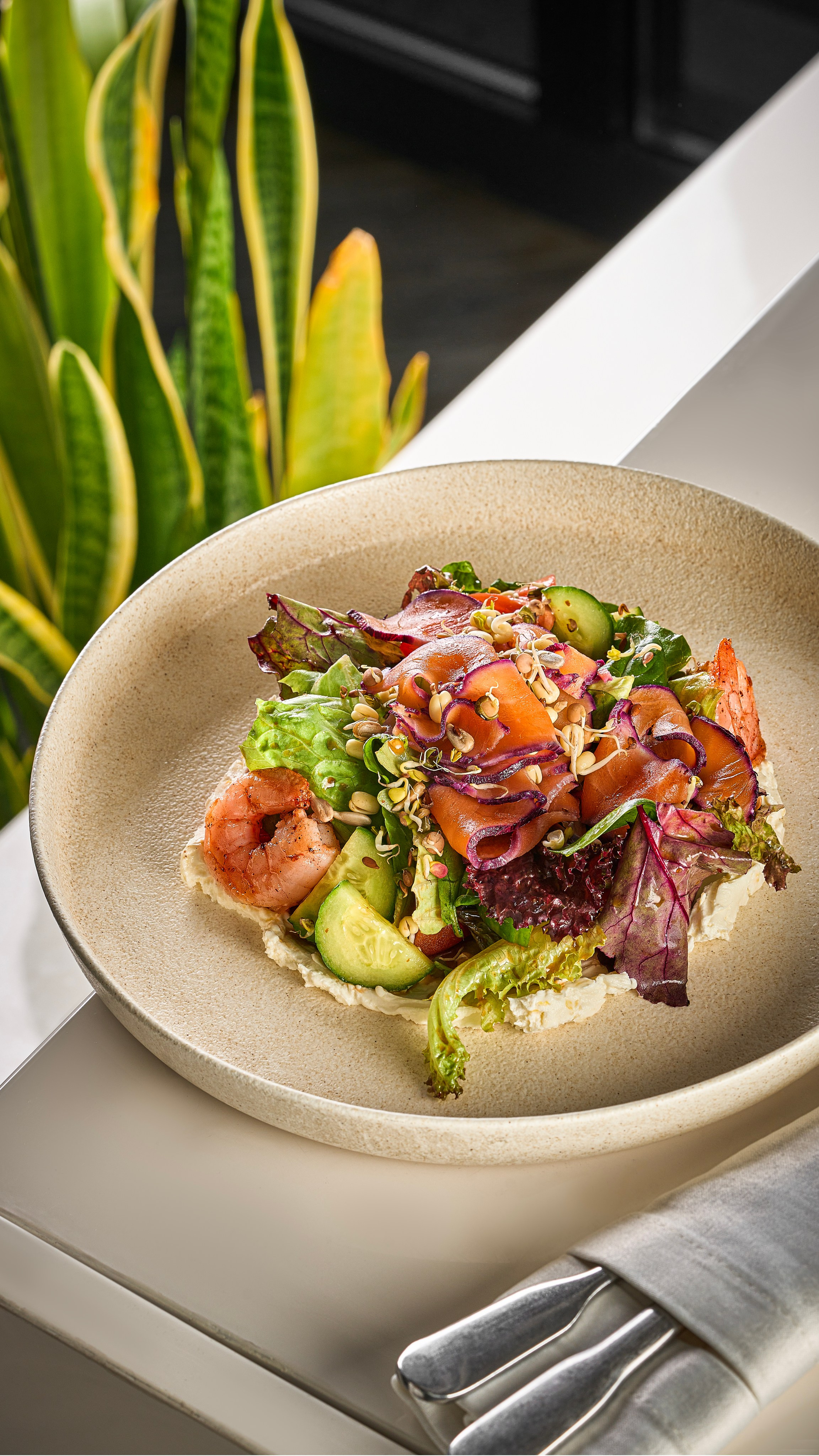 Меню и бар. Cheese Food Photo — Предметная и фуд фотосъёмка в Белгороде